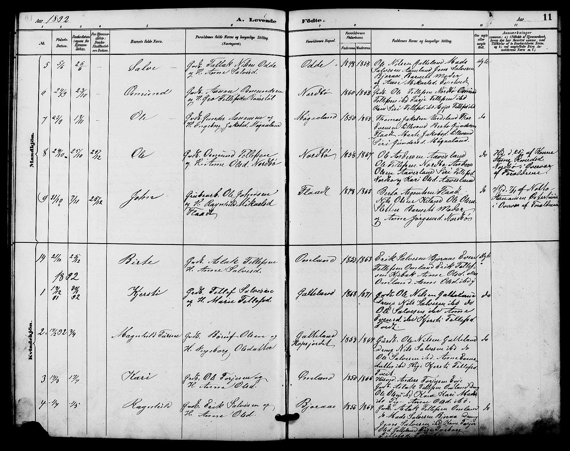 Evje sokneprestkontor, AV/SAK-1111-0008/F/Fb/Fba/L0003: Parish register (copy) no. B 3, 1888-1903, p. 11