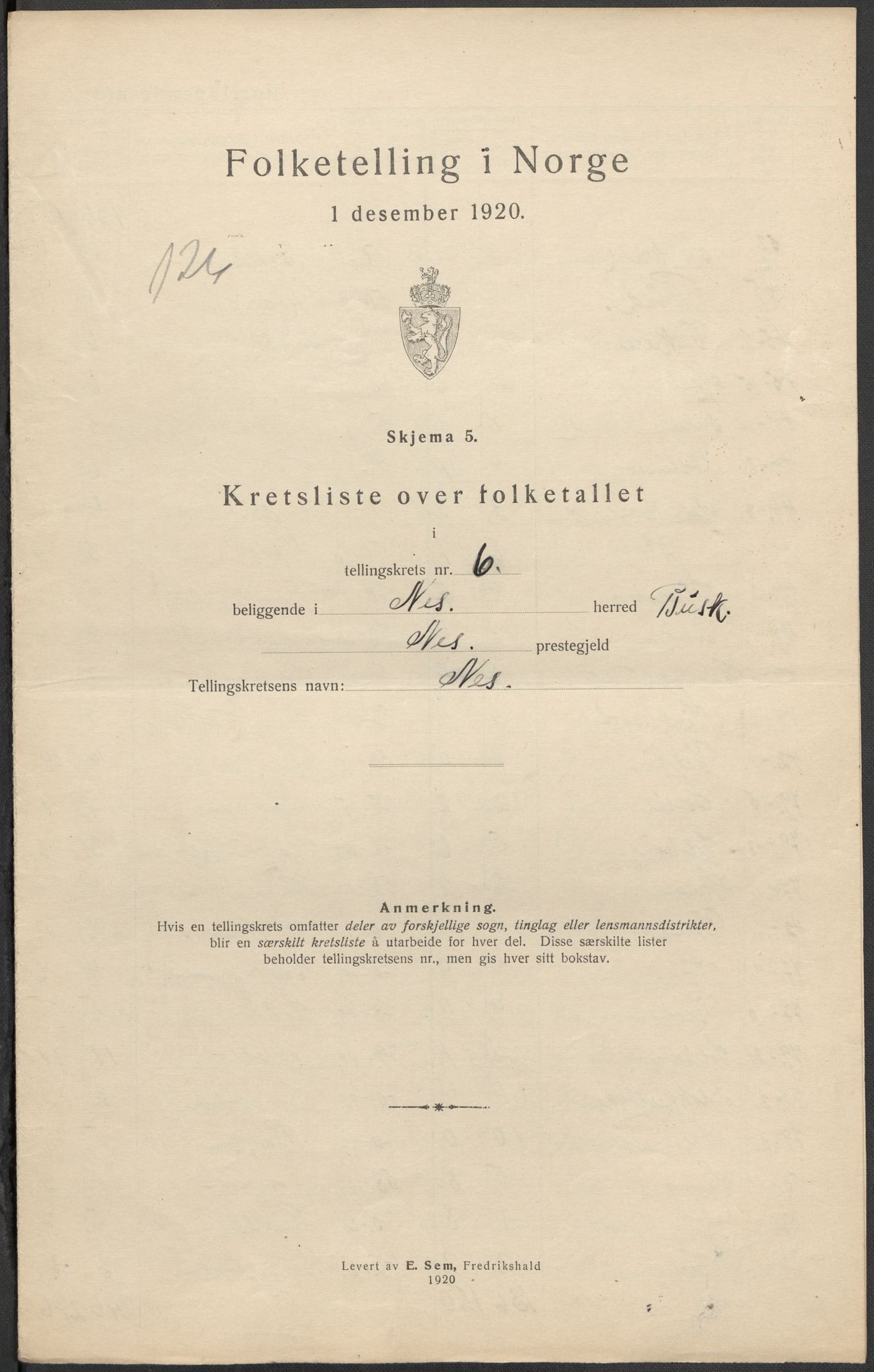 SAKO, 1920 census for Nes (Buskerud), 1920, p. 21