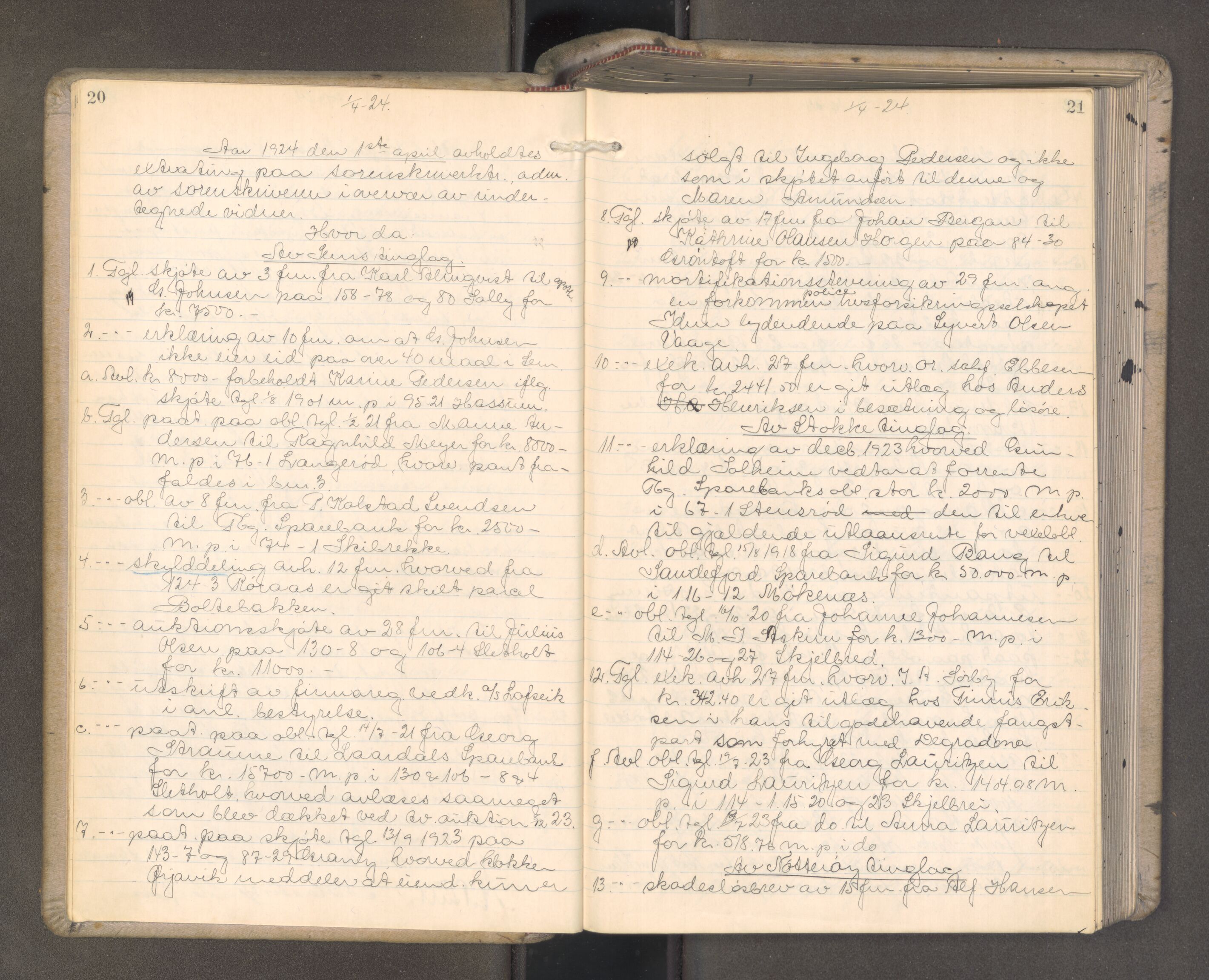 Søndre Jarlsberg sorenskriveri, AV/SAKO-A-129/F/Fa/L0053: Tingbok, 1924-1926, p. 20-21