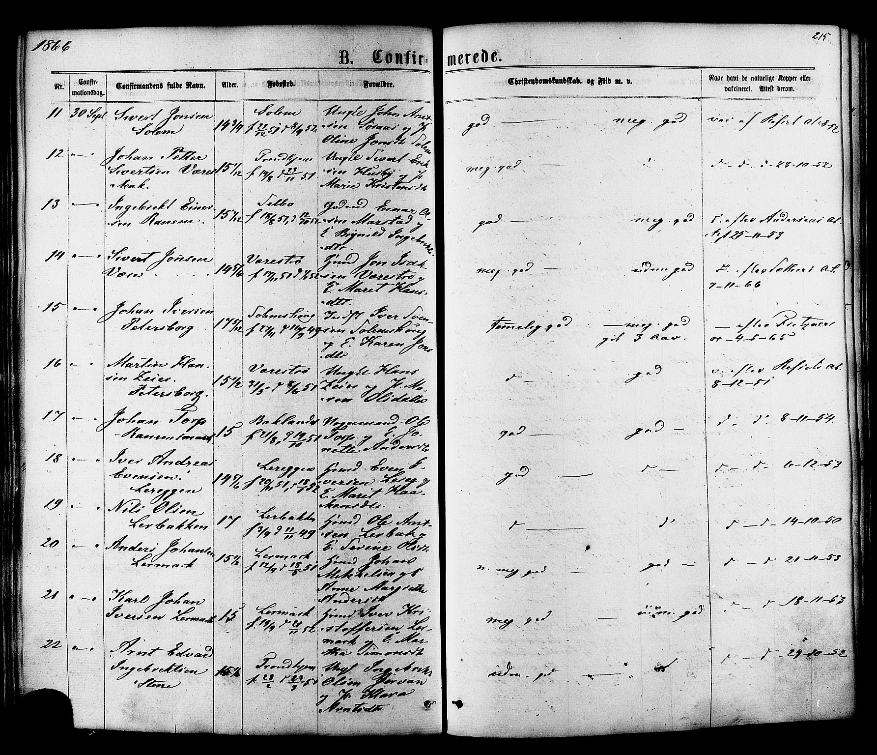 Ministerialprotokoller, klokkerbøker og fødselsregistre - Sør-Trøndelag, SAT/A-1456/606/L0293: Parish register (official) no. 606A08, 1866-1877, p. 215