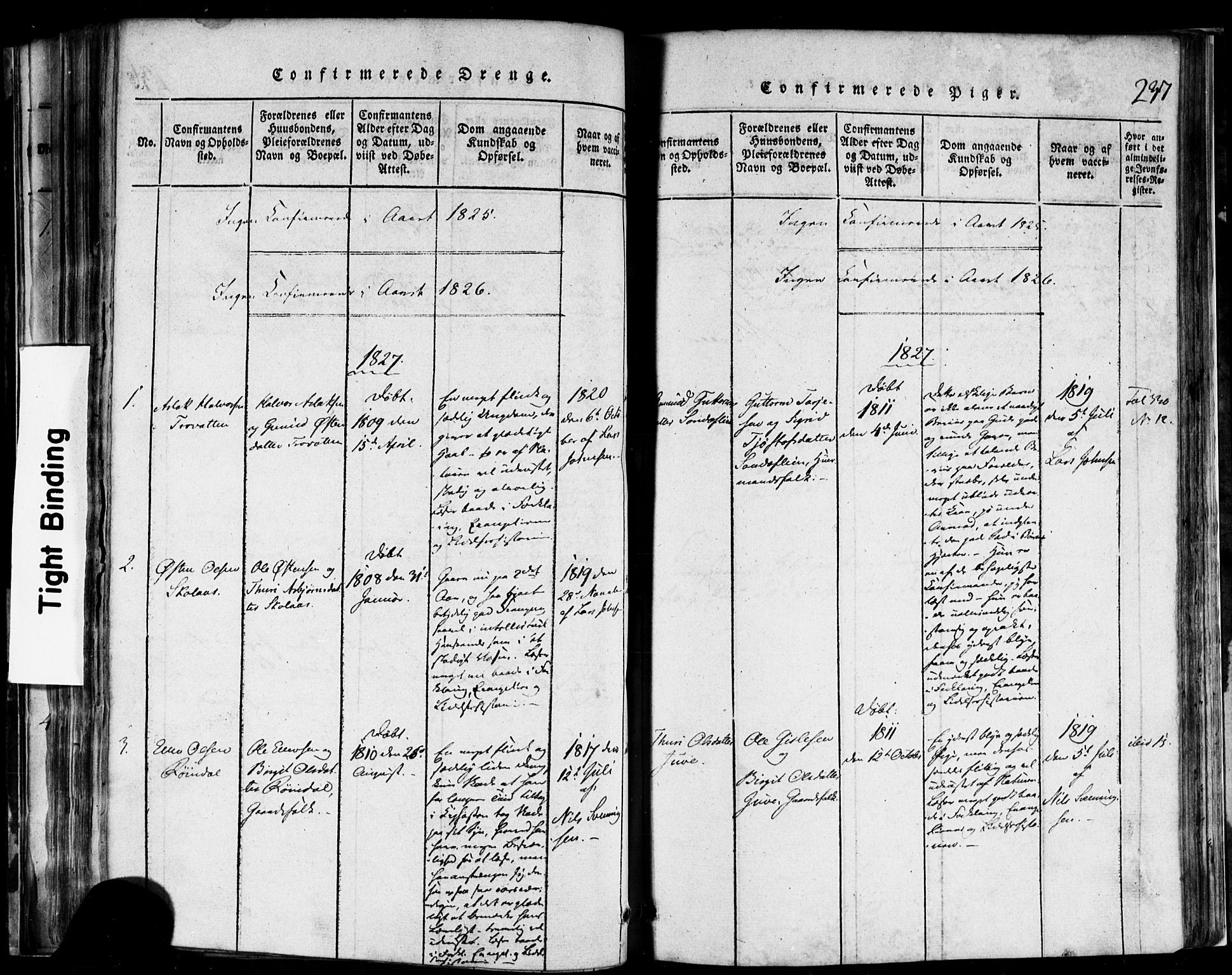 Rauland kirkebøker, SAKO/A-292/F/Fa/L0002: Parish register (official) no. 2, 1815-1860, p. 237