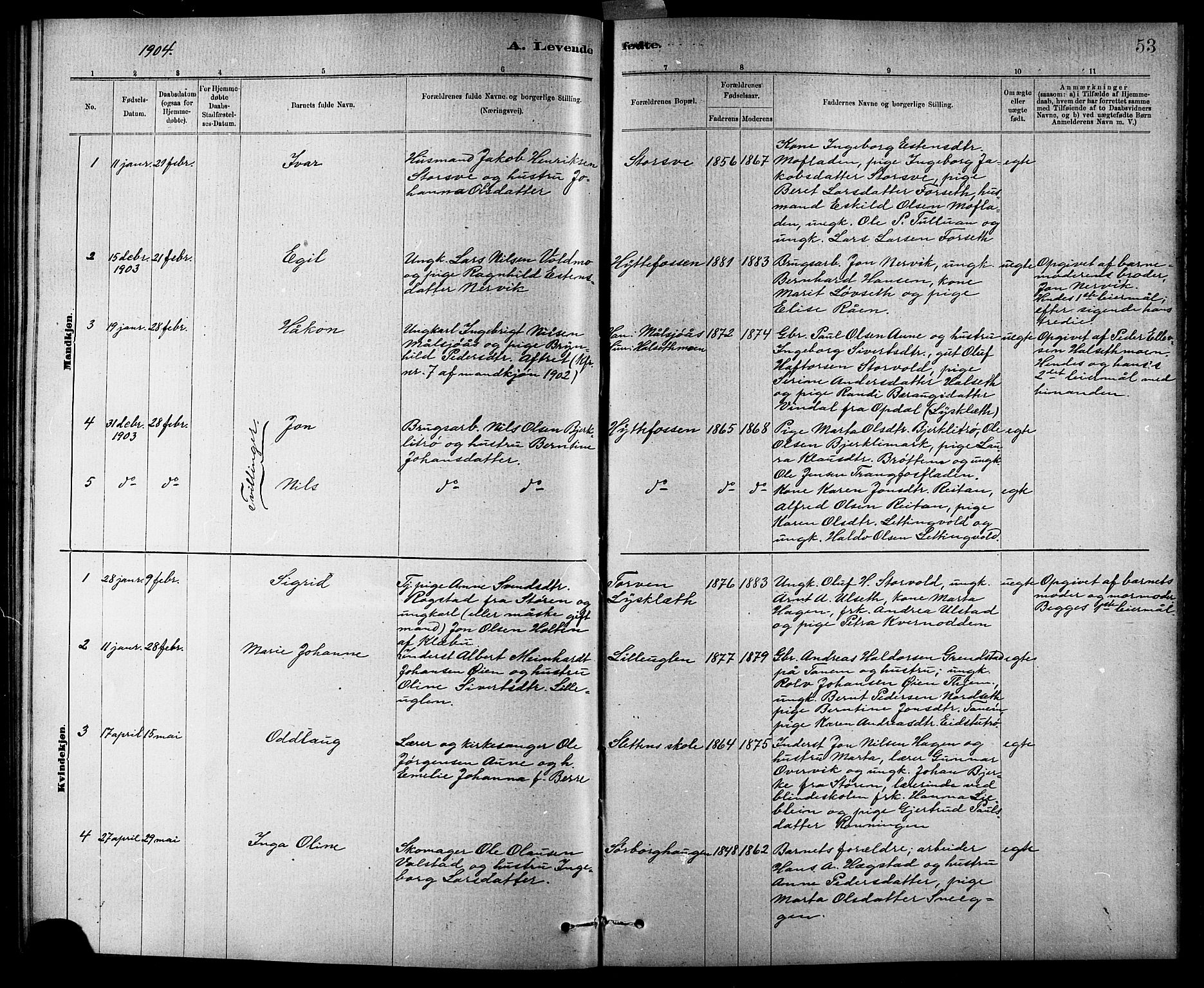 Ministerialprotokoller, klokkerbøker og fødselsregistre - Sør-Trøndelag, SAT/A-1456/618/L0452: Parish register (copy) no. 618C03, 1884-1906, p. 53