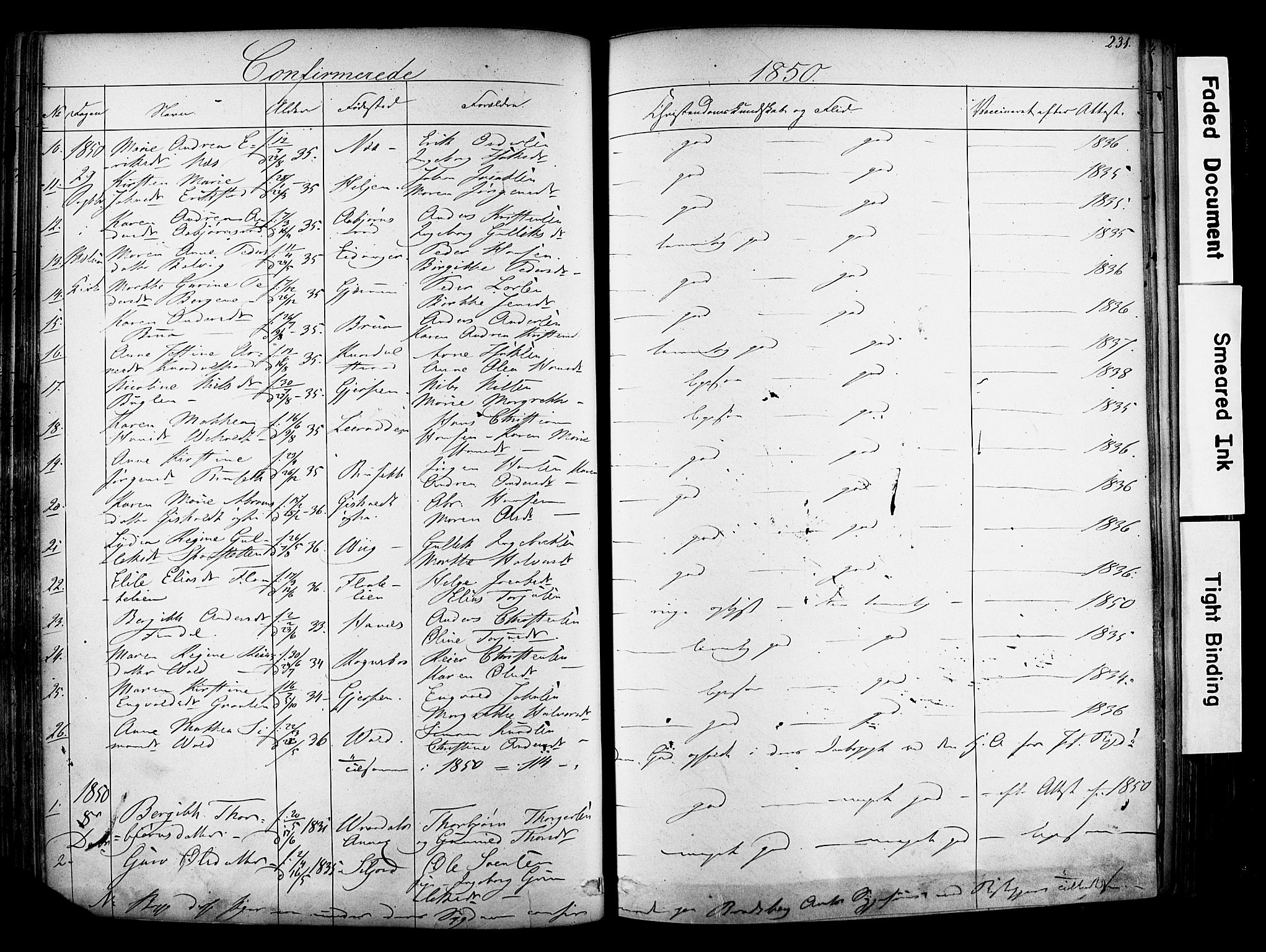 Solum kirkebøker, AV/SAKO-A-306/F/Fa/L0006: Parish register (official) no. I 6, 1844-1855, p. 231