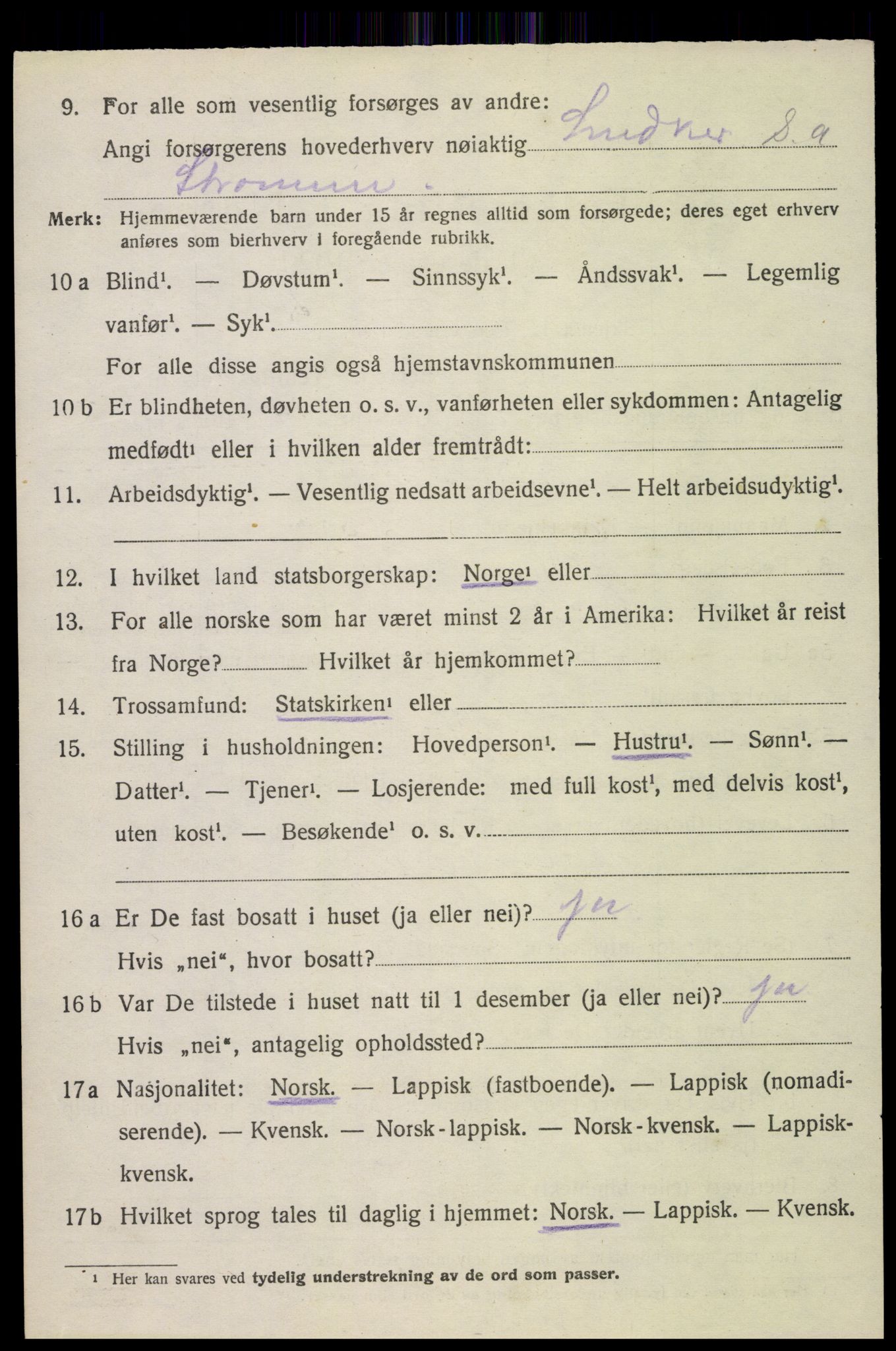 SAT, 1920 census for Bø, 1920, p. 4333