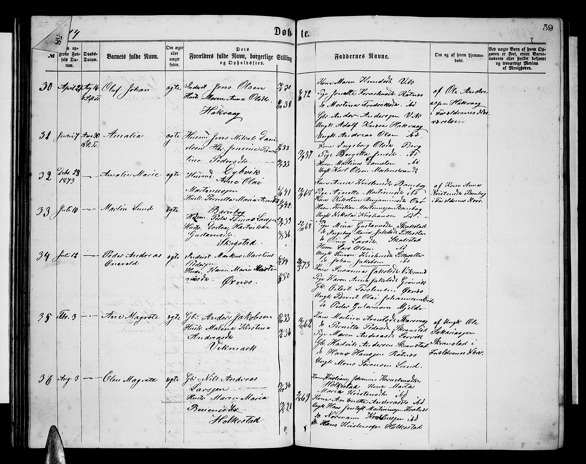 Ministerialprotokoller, klokkerbøker og fødselsregistre - Nordland, AV/SAT-A-1459/855/L0815: Parish register (copy) no. 855C04, 1865-1878, p. 59