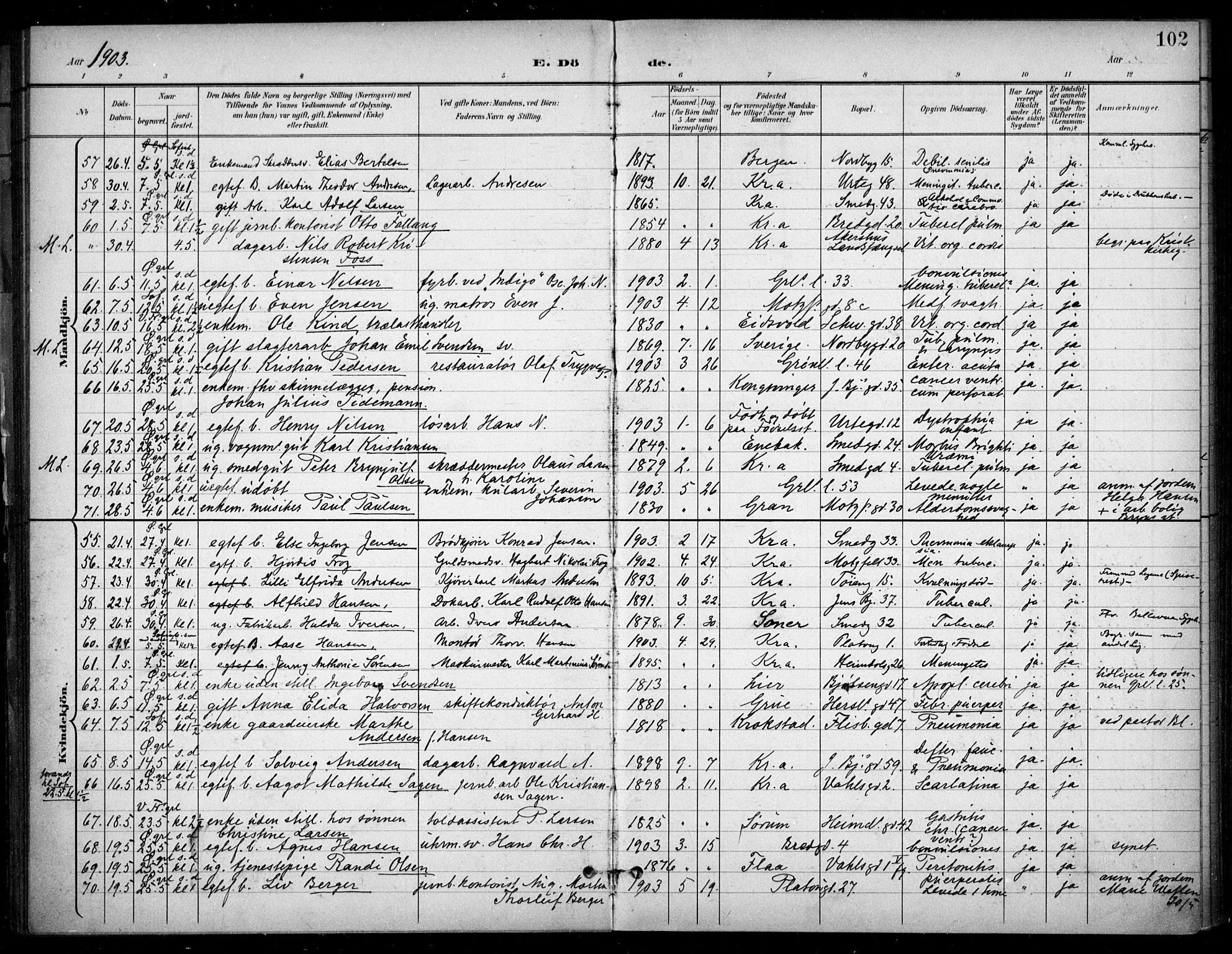 Grønland prestekontor Kirkebøker, SAO/A-10848/F/Fa/L0016: Parish register (official) no. 16, 1898-1918, p. 102