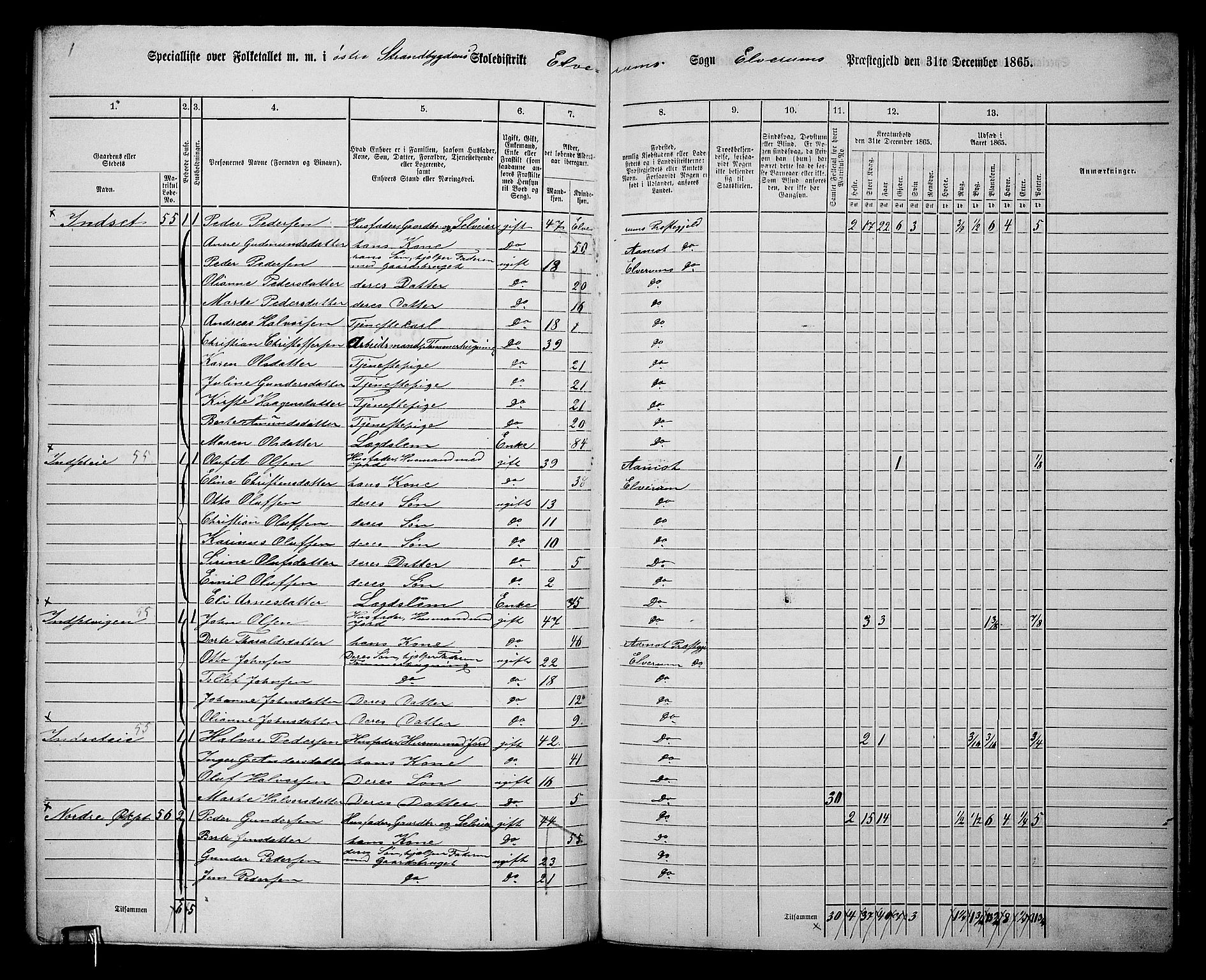 RA, 1865 census for Elverum, 1865, p. 137