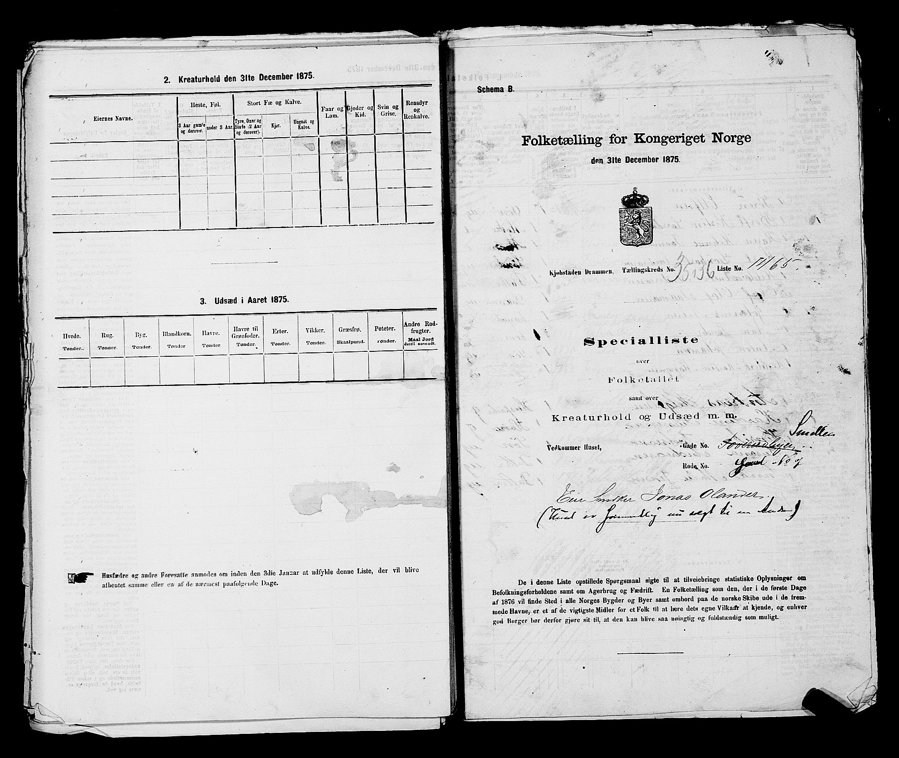 SAKO, 1875 census for 0602 Drammen, 1875, p. 3115