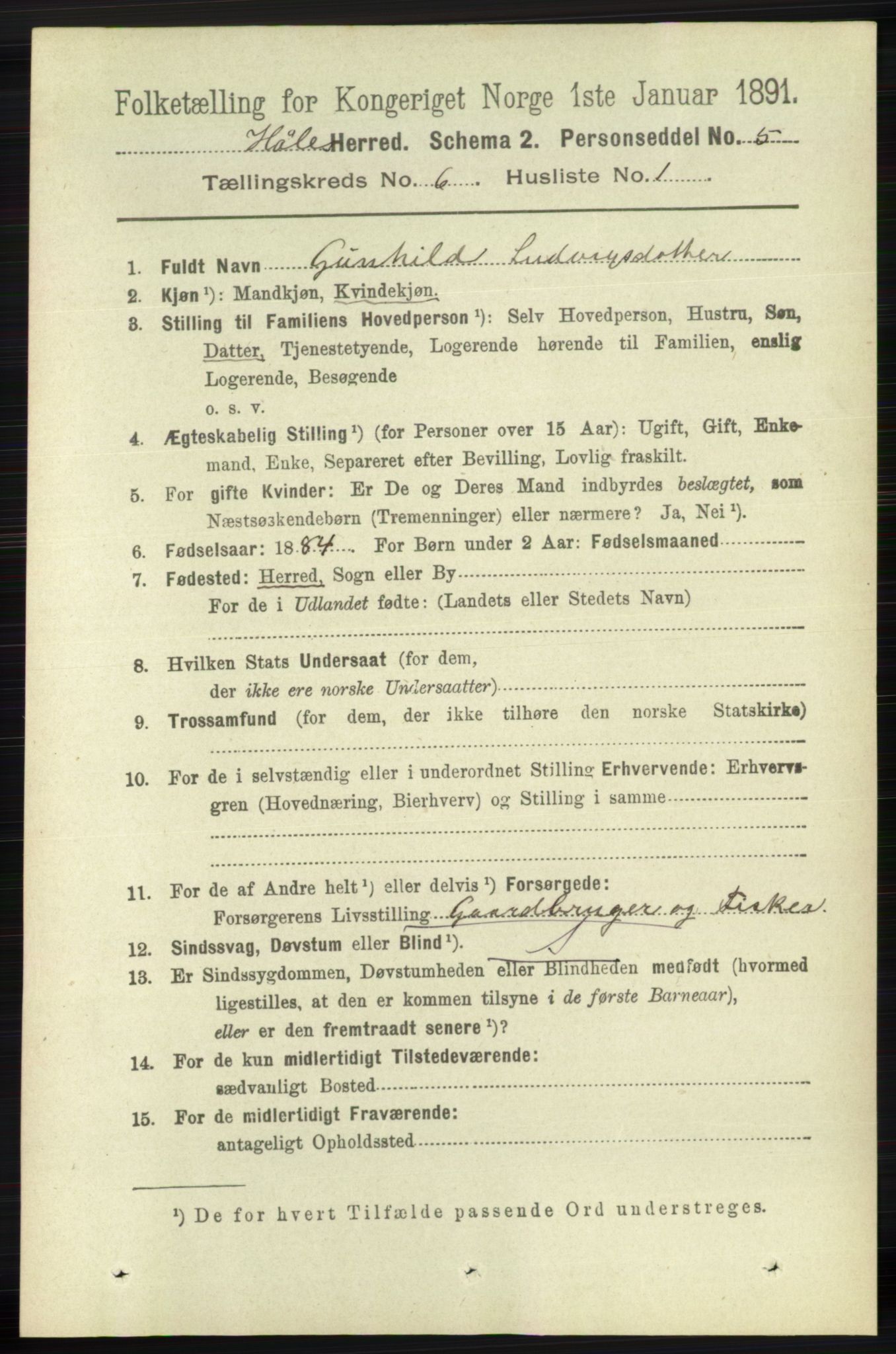 RA, 1891 census for 1128 Høle, 1891, p. 1296