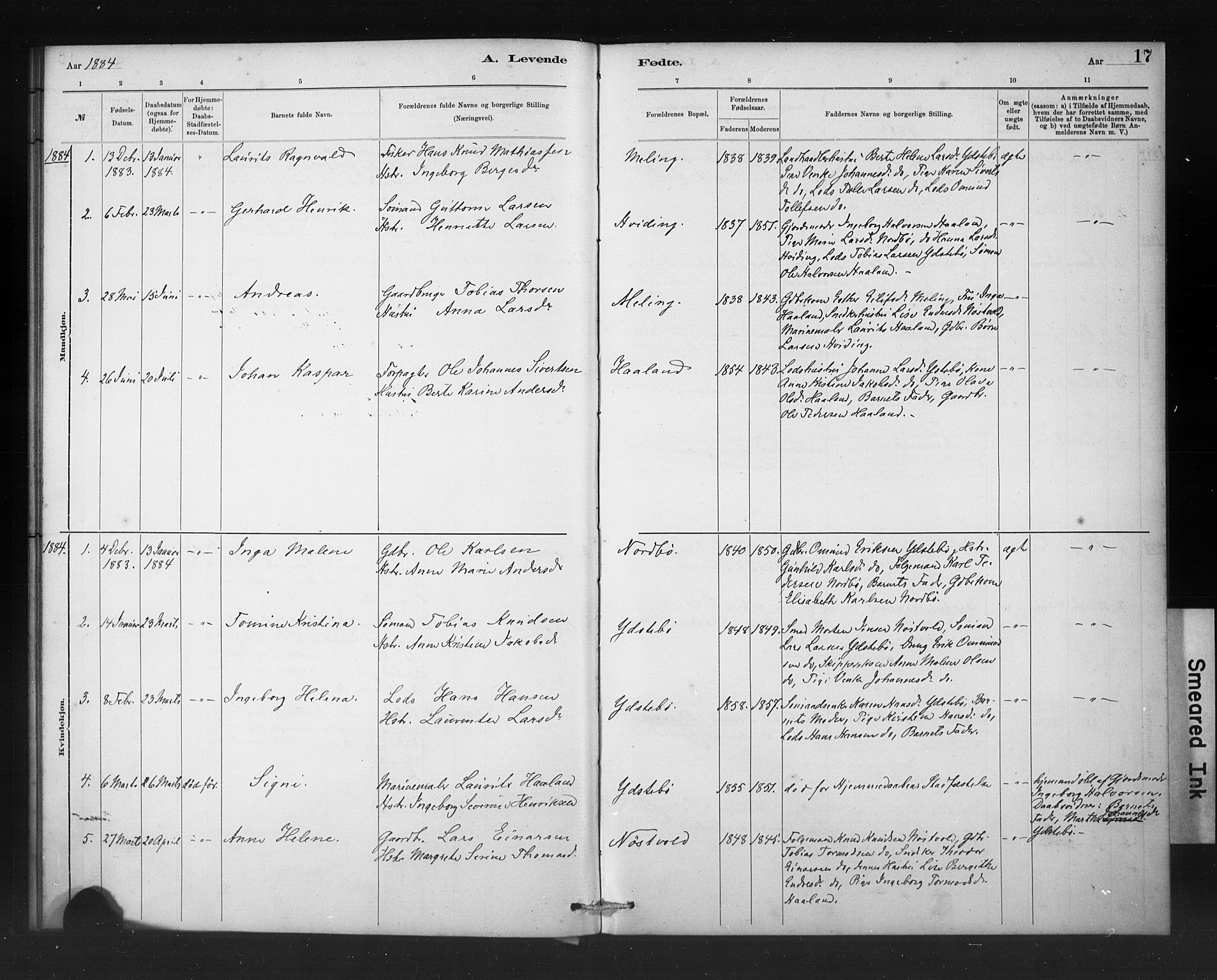 Rennesøy sokneprestkontor, SAST/A -101827/H/Ha/Haa/L0011: Parish register (official) no. A 11, 1878-1887, p. 17