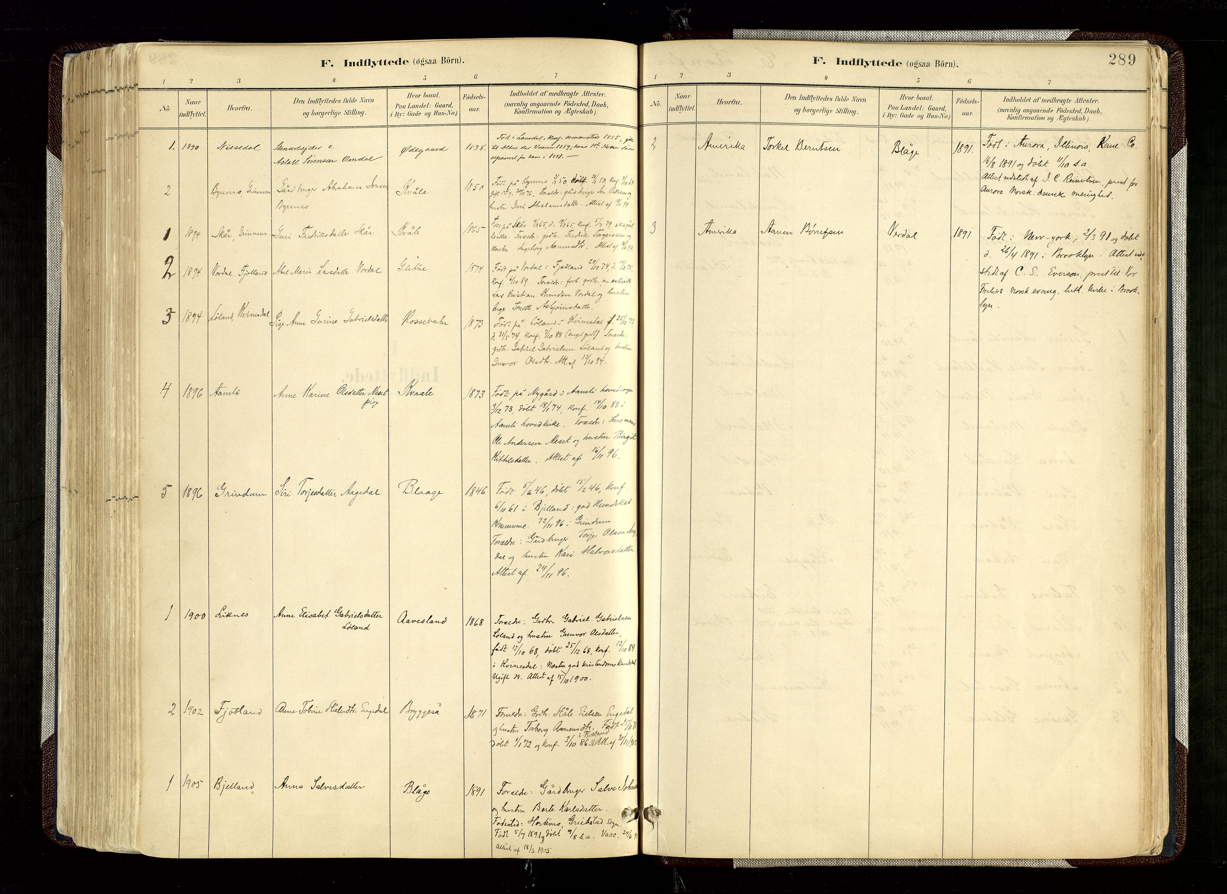 Hægebostad sokneprestkontor, SAK/1111-0024/F/Fa/Fab/L0004: Parish register (official) no. A 4, 1887-1929, p. 289