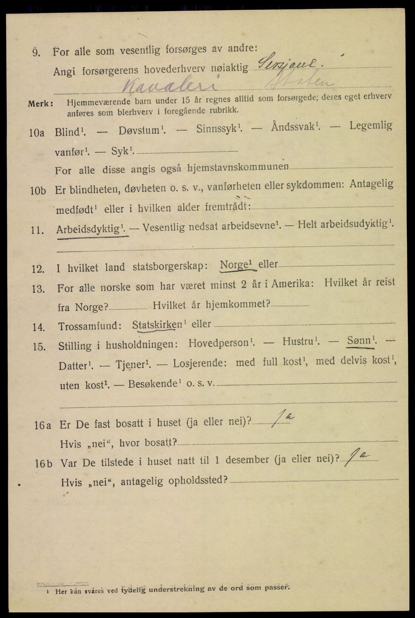 SAH, 1920 census for Hamar, 1920, p. 13018