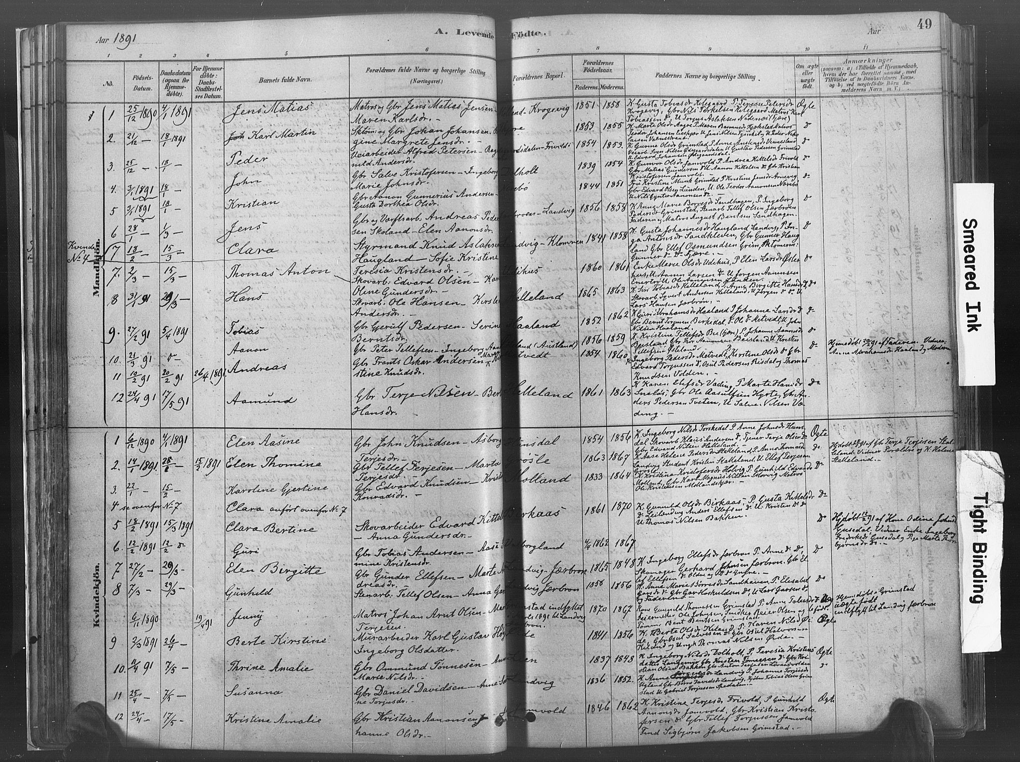 Hommedal sokneprestkontor, AV/SAK-1111-0023/F/Fa/Fab/L0006: Parish register (official) no. A 6, 1878-1897, p. 49