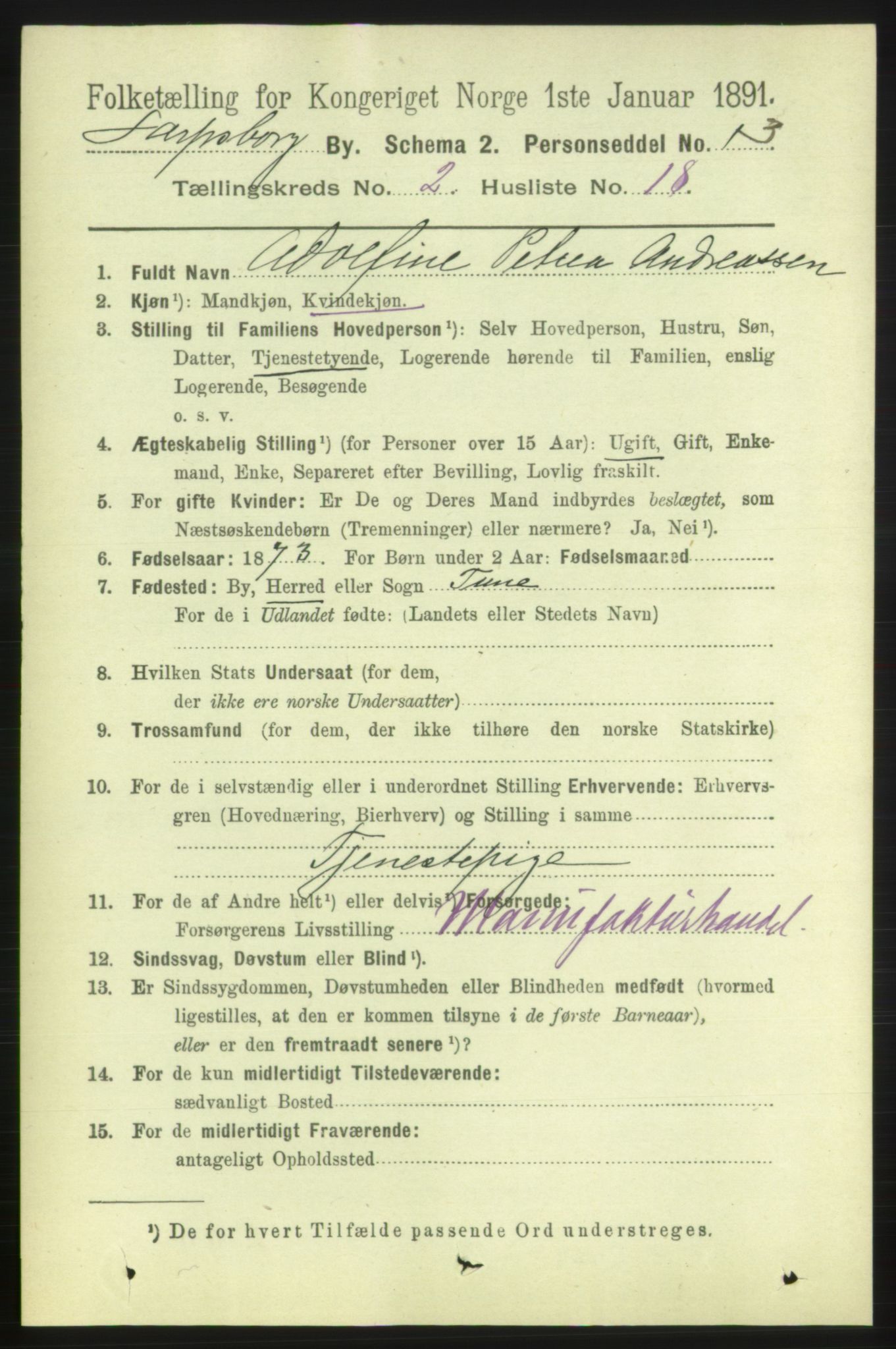 RA, 1891 census for 0102 Sarpsborg, 1891, p. 1427