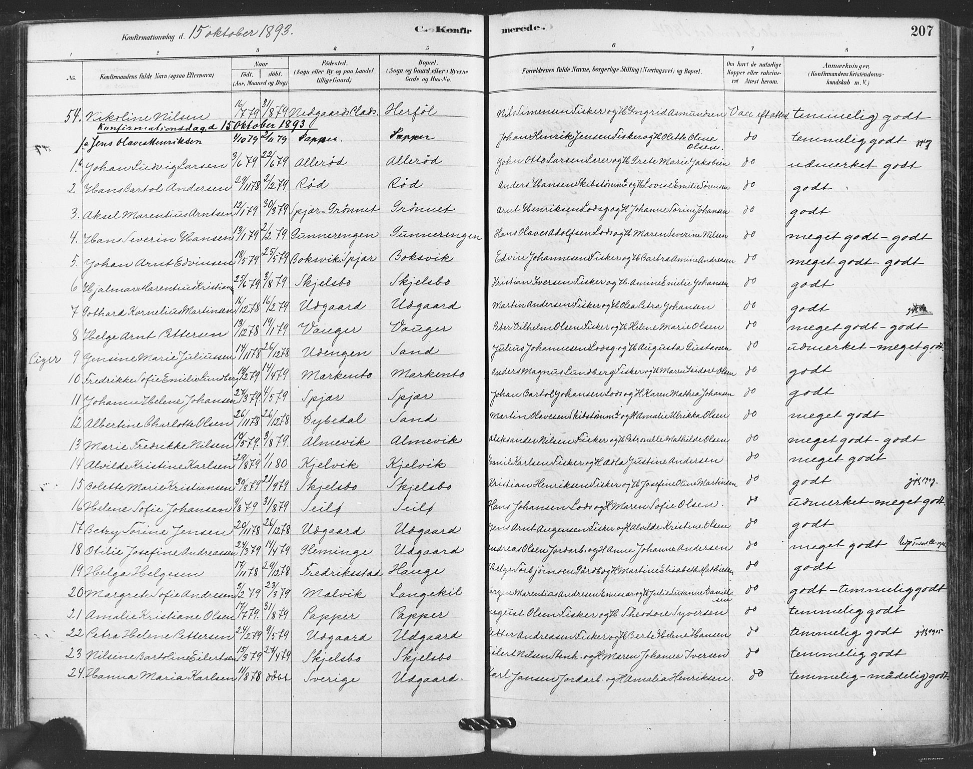 Hvaler prestekontor Kirkebøker, AV/SAO-A-2001/F/Fa/L0008: Parish register (official) no. I 8, 1878-1895, p. 207