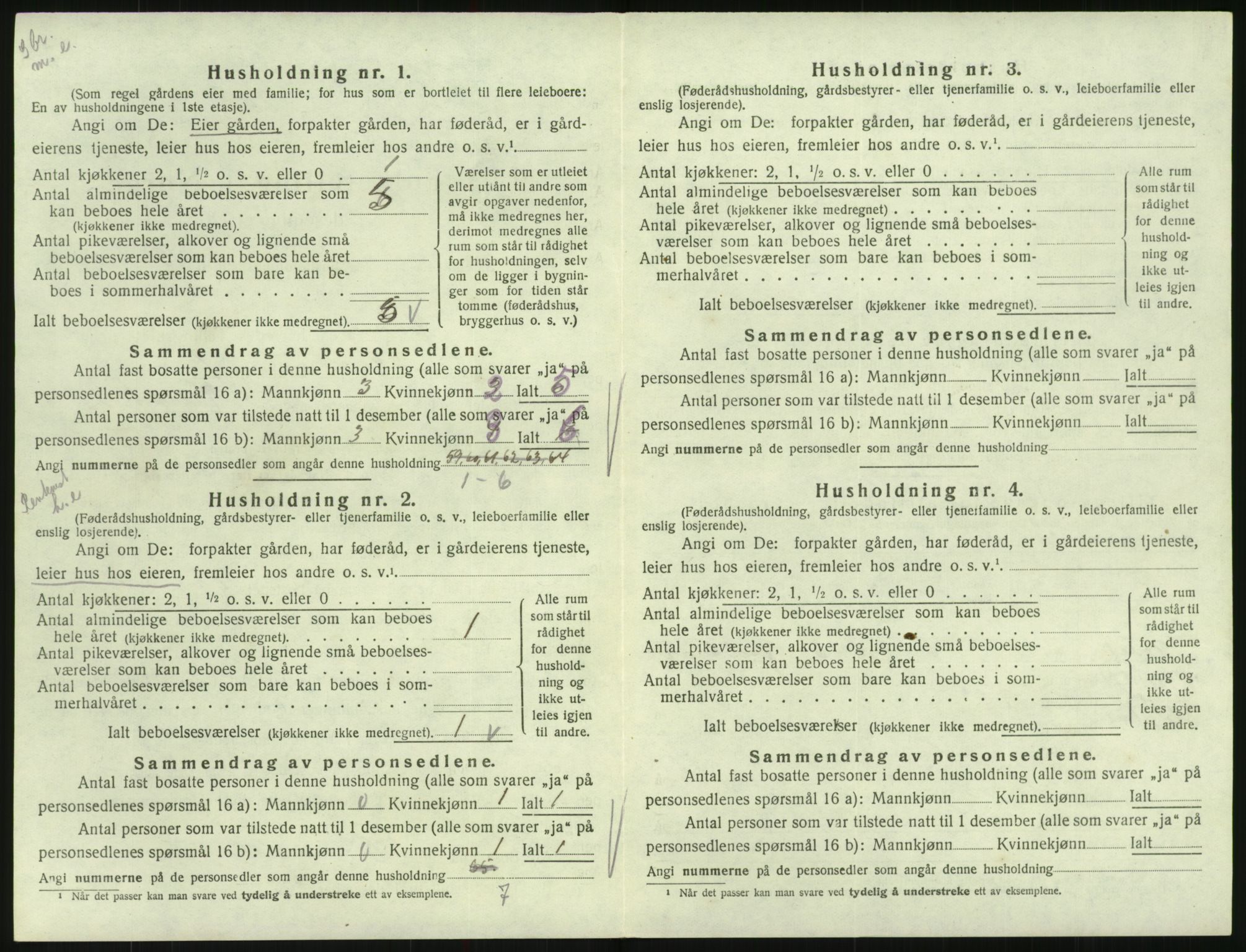 SAK, 1920 census for Hornnes, 1920, p. 228