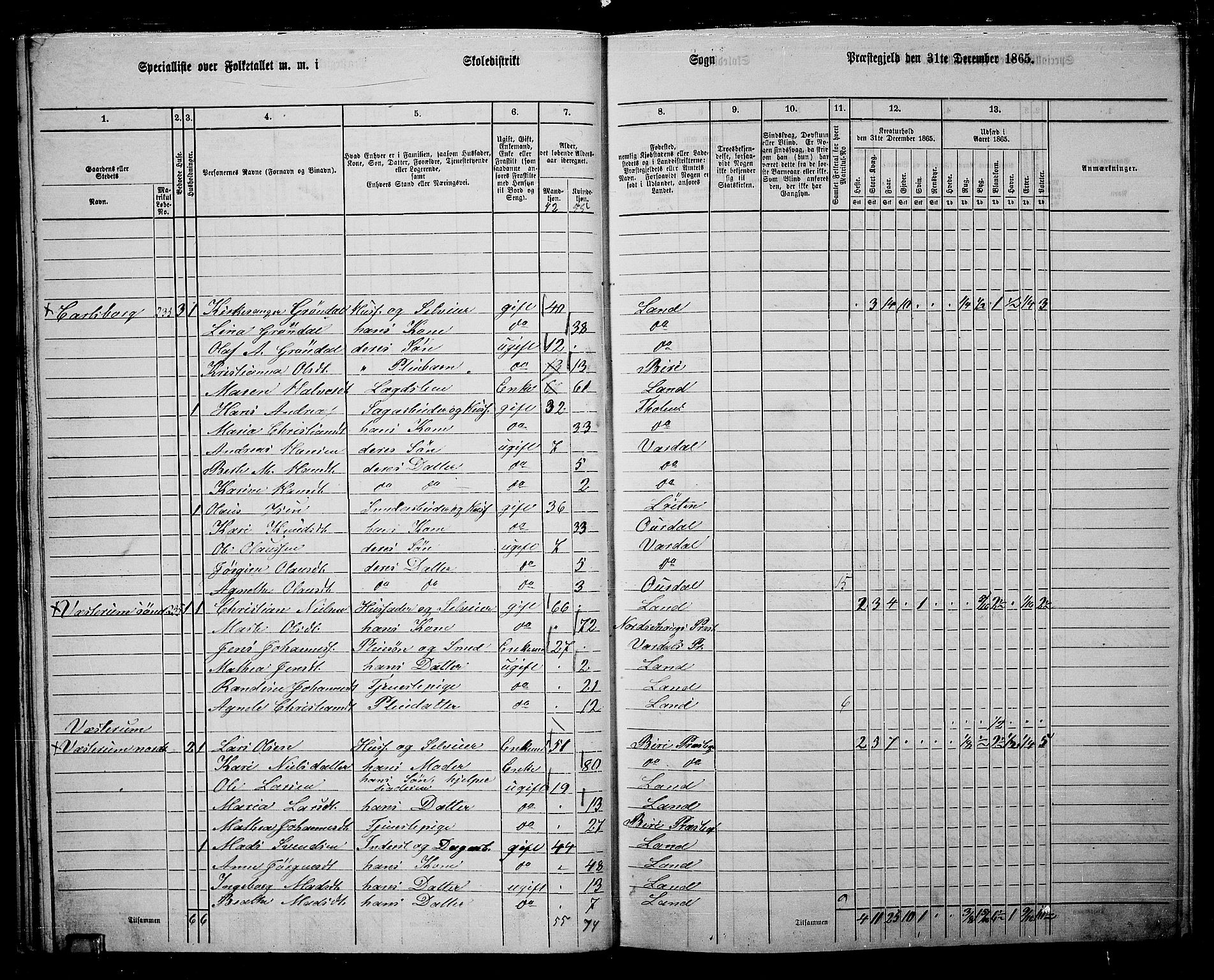 RA, 1865 census for Land, 1865, p. 247