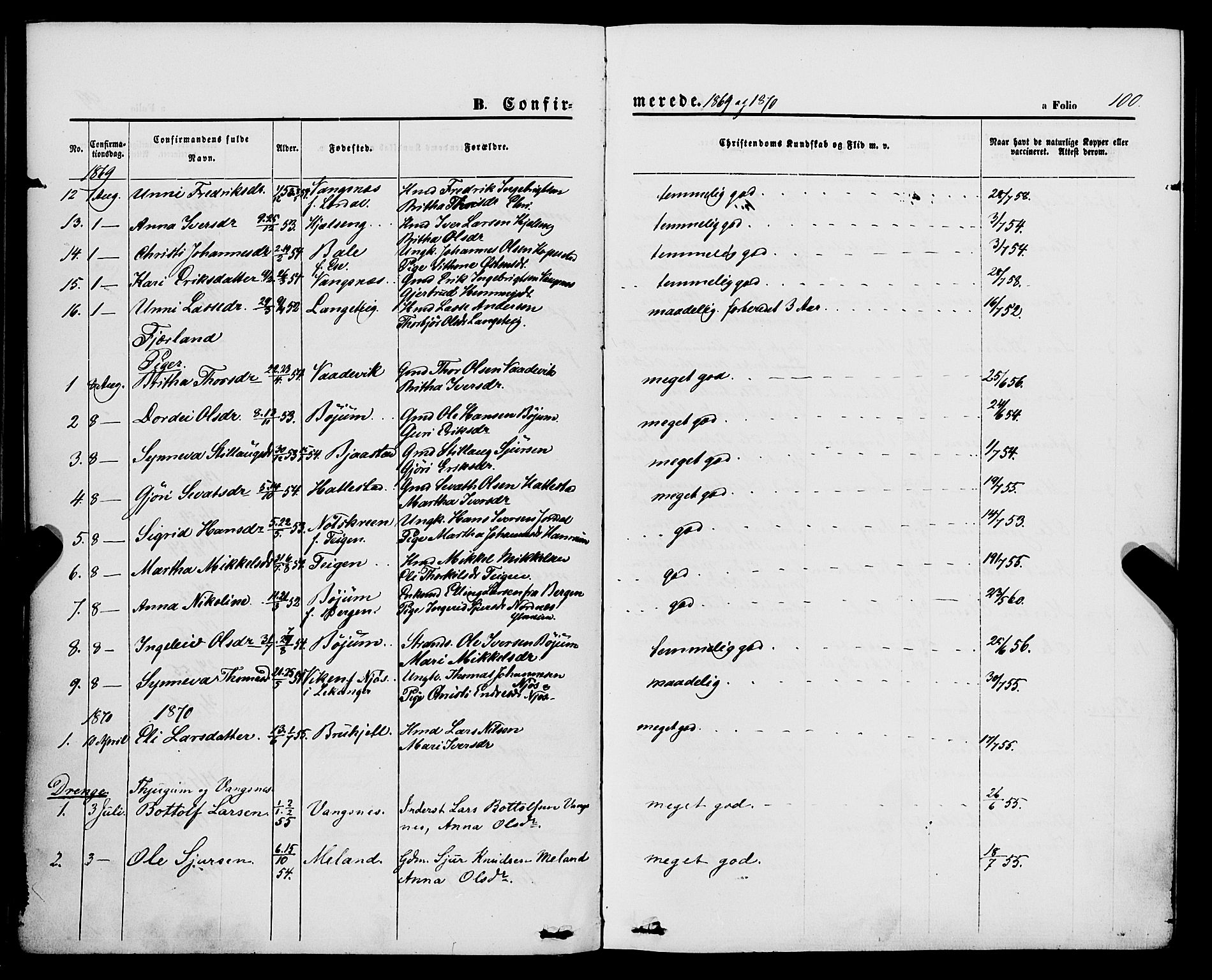 Balestrand sokneprestembete, AV/SAB-A-79601/H/Haa/Haaa/L0003: Parish register (official) no. A 3, 1867-1878, p. 100