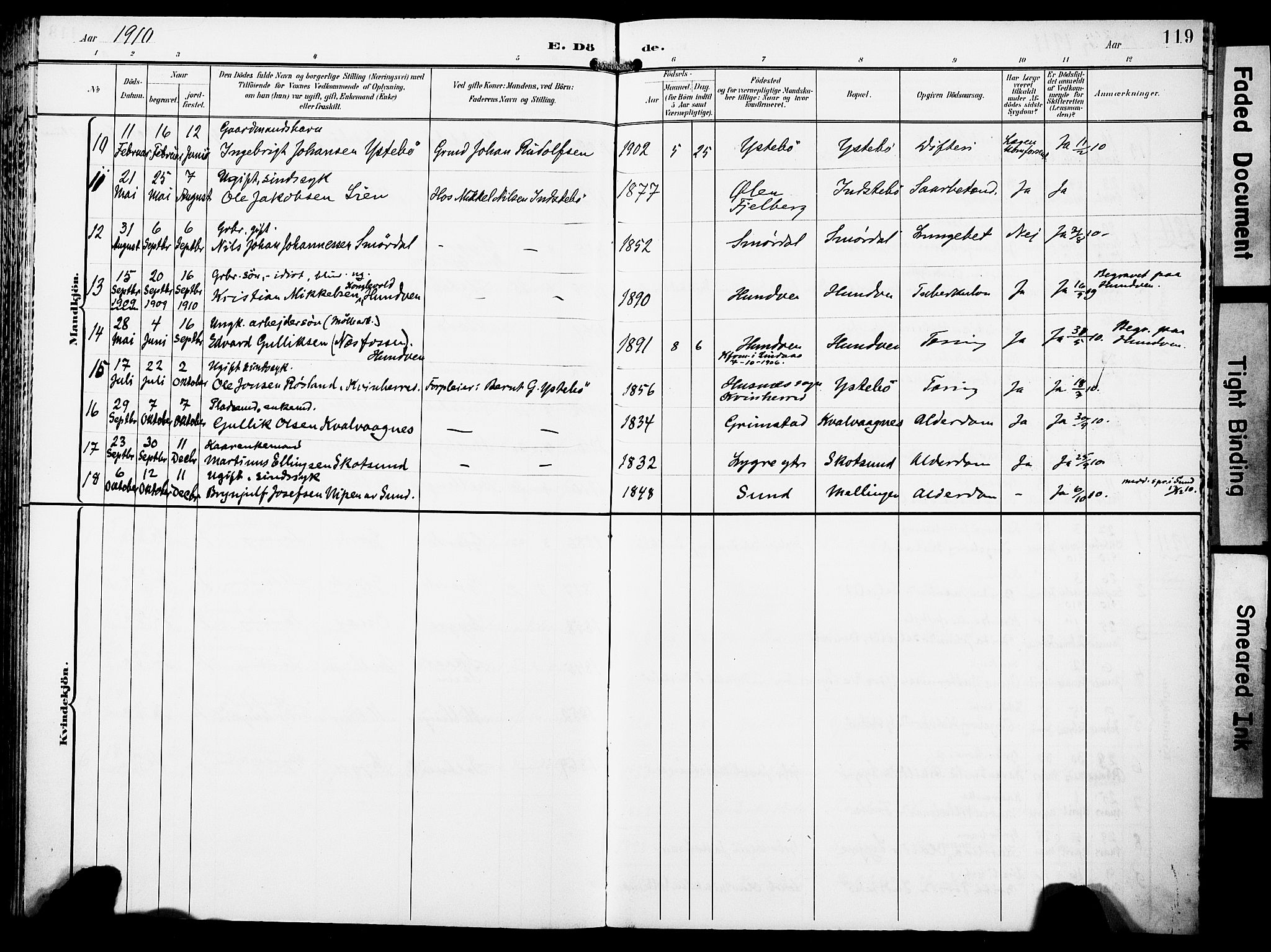 Lindås Sokneprestembete, SAB/A-76701/H/Haa: Parish register (official) no. E 2, 1897-1912, p. 119