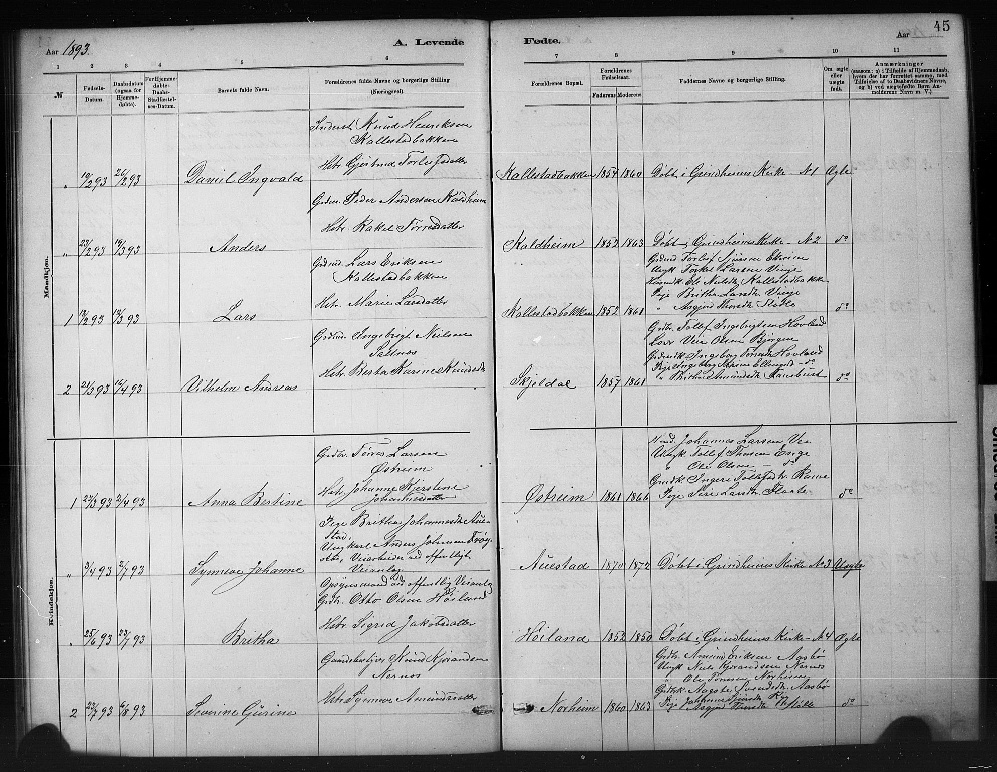 Etne sokneprestembete, SAB/A-75001/H/Hab: Parish register (copy) no. A 5, 1879-1896, p. 45