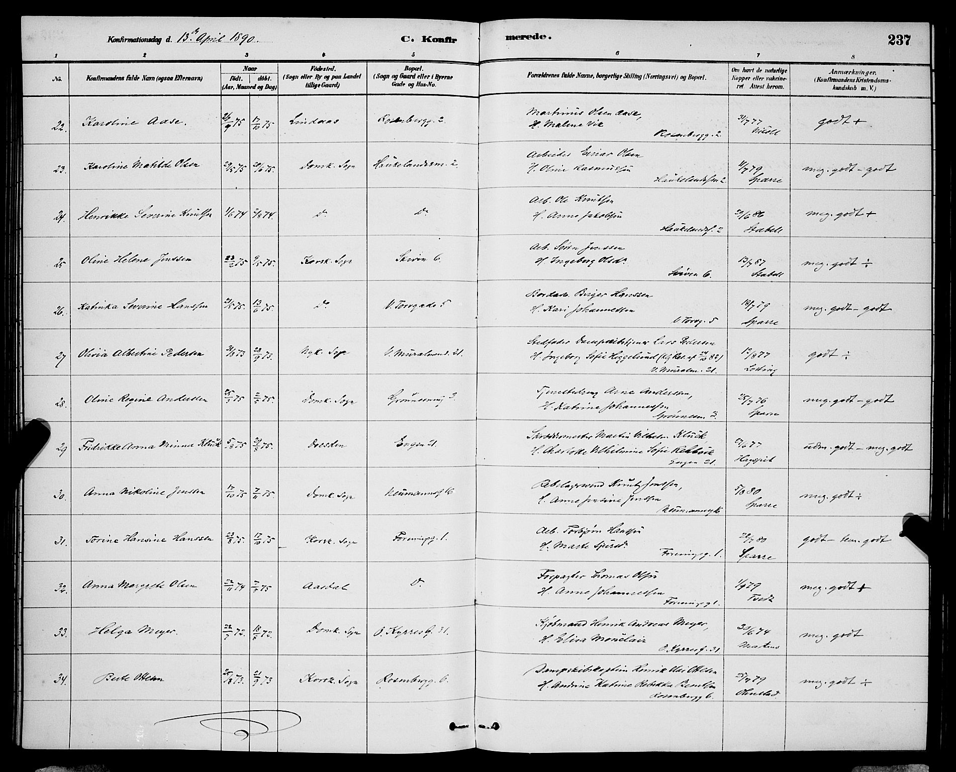 Domkirken sokneprestembete, AV/SAB-A-74801/H/Hab/L0024: Parish register (copy) no. C 4, 1880-1899, p. 237