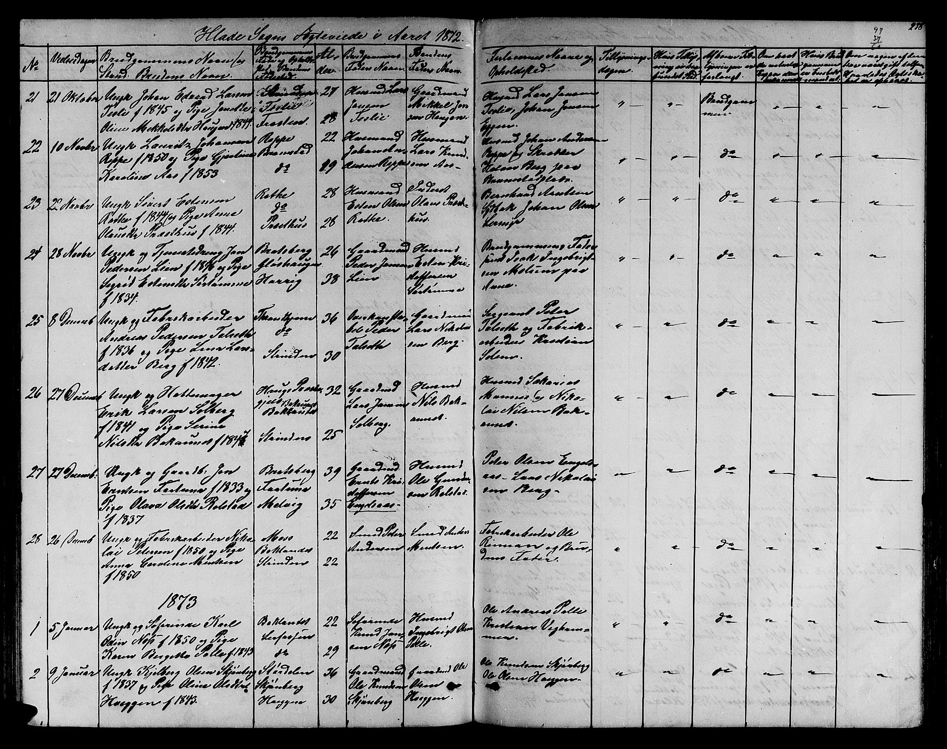 Ministerialprotokoller, klokkerbøker og fødselsregistre - Sør-Trøndelag, SAT/A-1456/606/L0311: Parish register (copy) no. 606C07, 1860-1877, p. 238