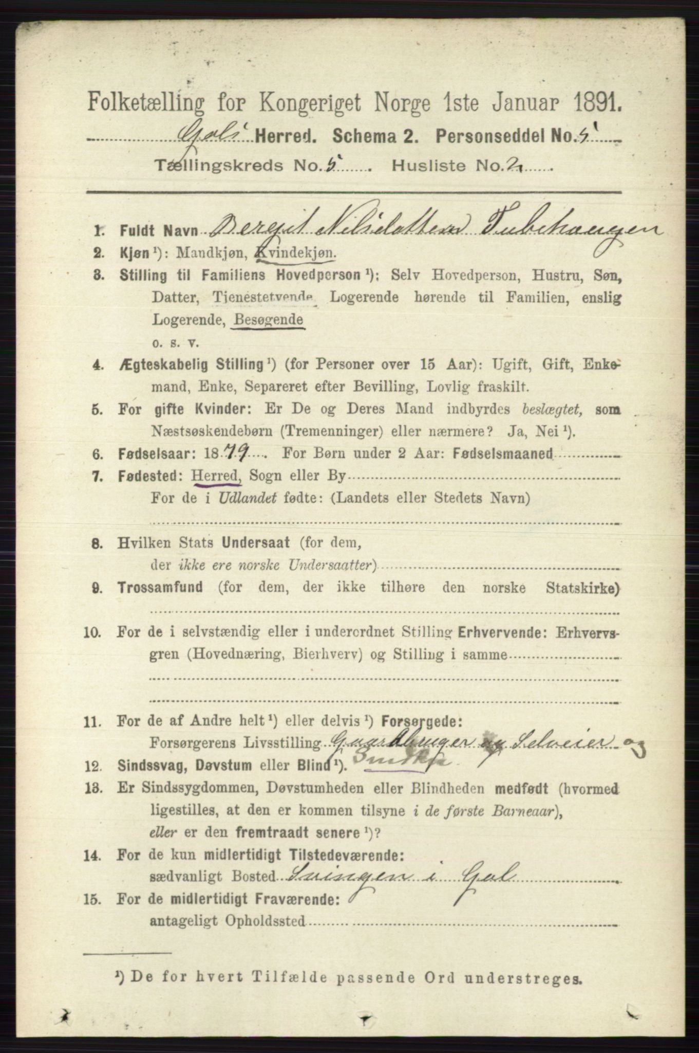 RA, 1891 census for 0617 Gol og Hemsedal, 1891, p. 2316