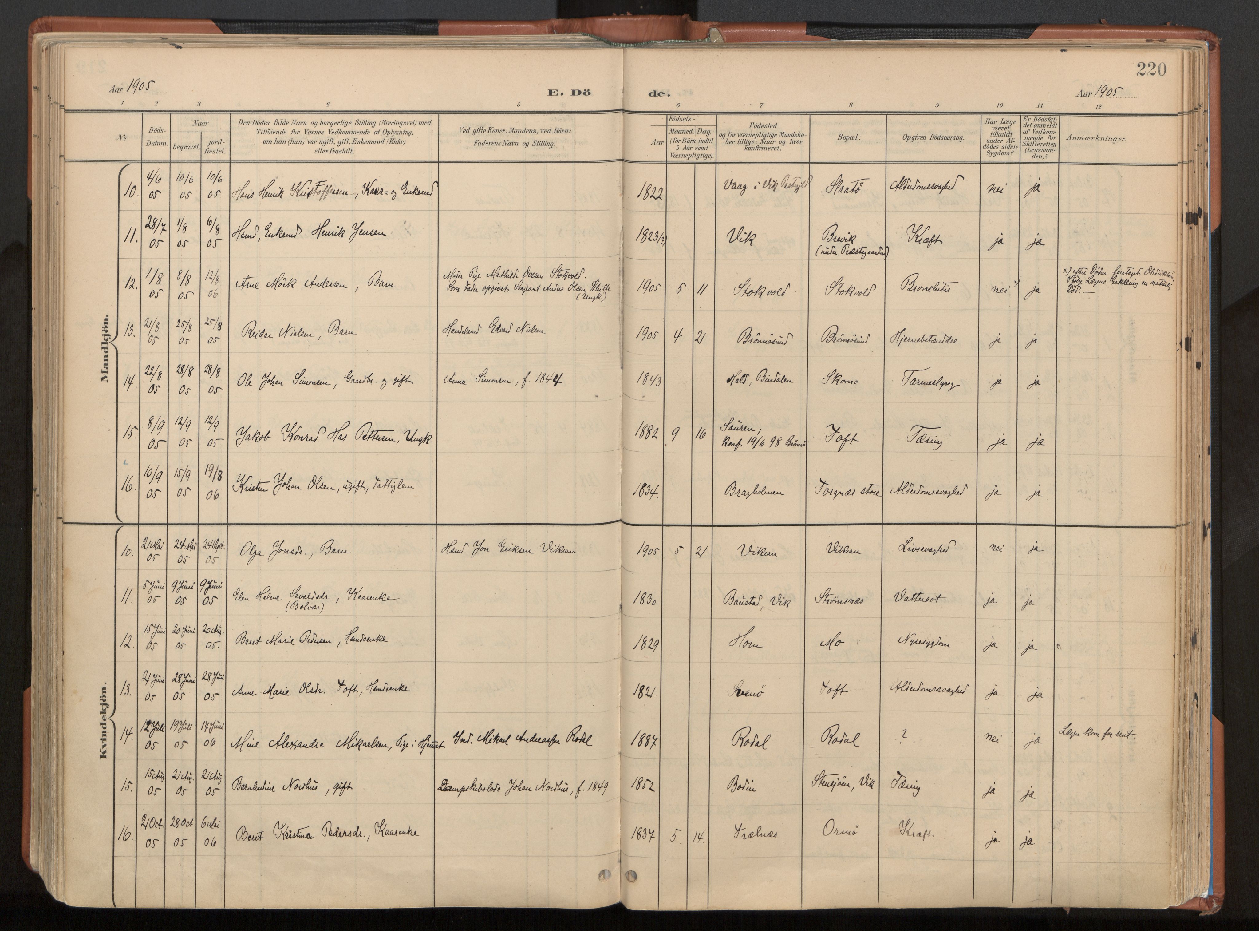 Ministerialprotokoller, klokkerbøker og fødselsregistre - Nordland, SAT/A-1459/813/L0201: Parish register (official) no. 813A11, 1901-1918, p. 220