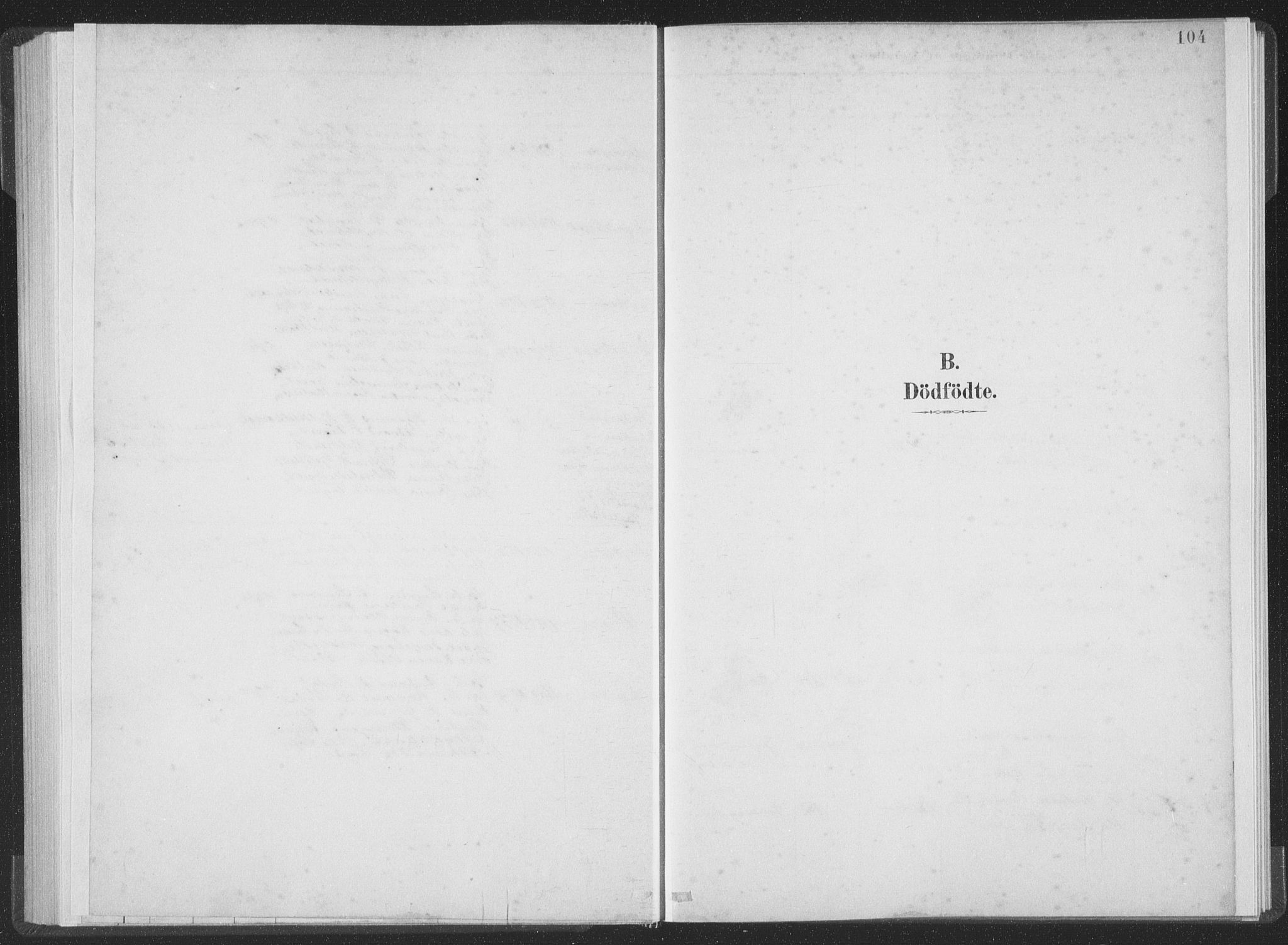 Ministerialprotokoller, klokkerbøker og fødselsregistre - Møre og Romsdal, SAT/A-1454/502/L0025: Parish register (official) no. 502A03, 1885-1909, p. 104
