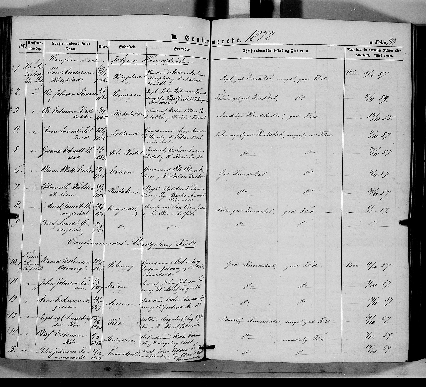 Tolga prestekontor, AV/SAH-PREST-062/K/L0006: Parish register (official) no. 6, 1852-1876, p. 193