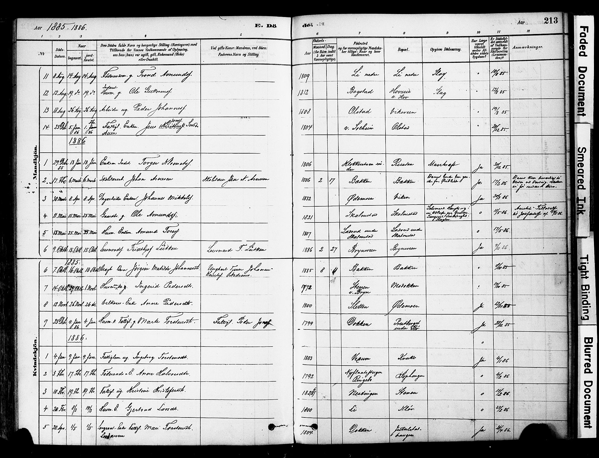 Øyer prestekontor, AV/SAH-PREST-084/H/Ha/Haa/L0008: Parish register (official) no. 8, 1878-1897, p. 213