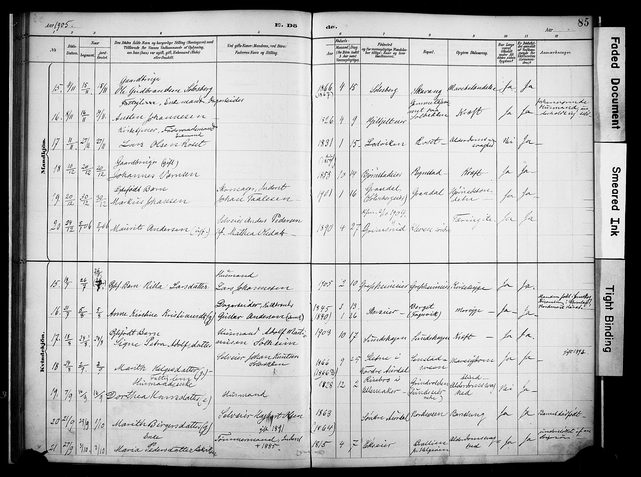 Nes prestekontor, Hedmark, AV/SAH-PREST-020/K/Ka/L0011: Parish register (official) no. 11, 1887-1905, p. 85