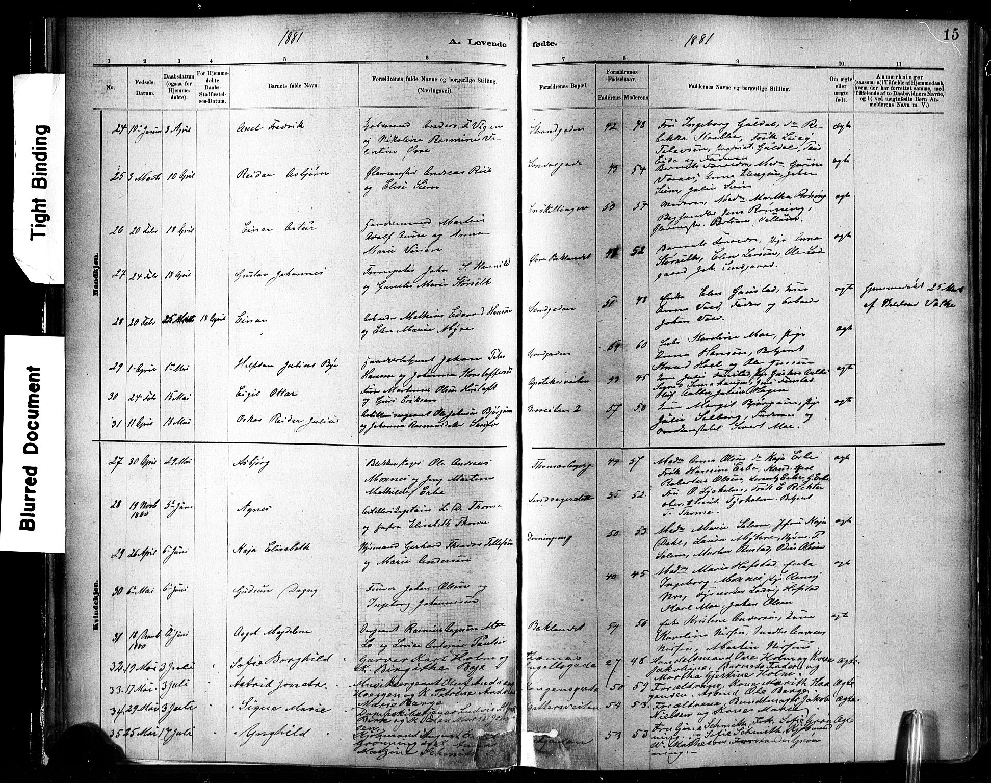 Ministerialprotokoller, klokkerbøker og fødselsregistre - Sør-Trøndelag, SAT/A-1456/602/L0119: Parish register (official) no. 602A17, 1880-1901, p. 15