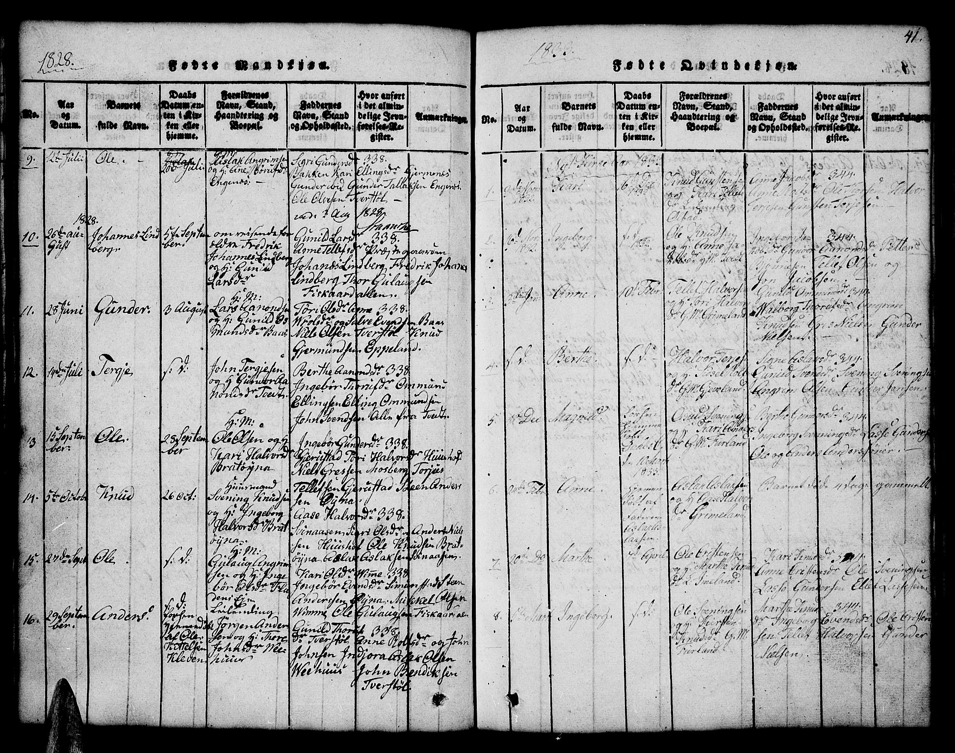 Åmli sokneprestkontor, AV/SAK-1111-0050/F/Fb/Fbc/L0001: Parish register (copy) no. B 1, 1816-1867, p. 41