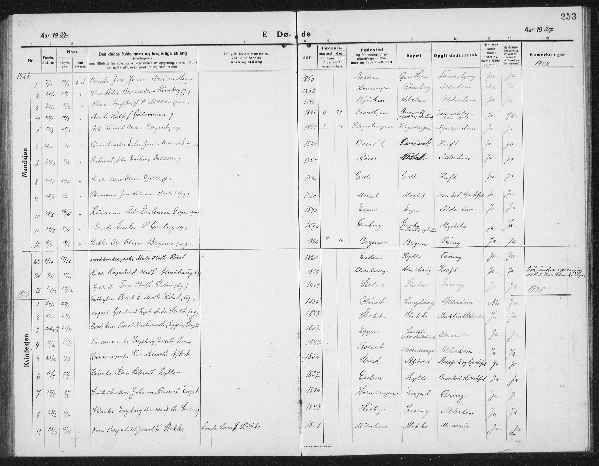 Ministerialprotokoller, klokkerbøker og fødselsregistre - Sør-Trøndelag, SAT/A-1456/695/L1158: Parish register (copy) no. 695C09, 1913-1940, p. 253