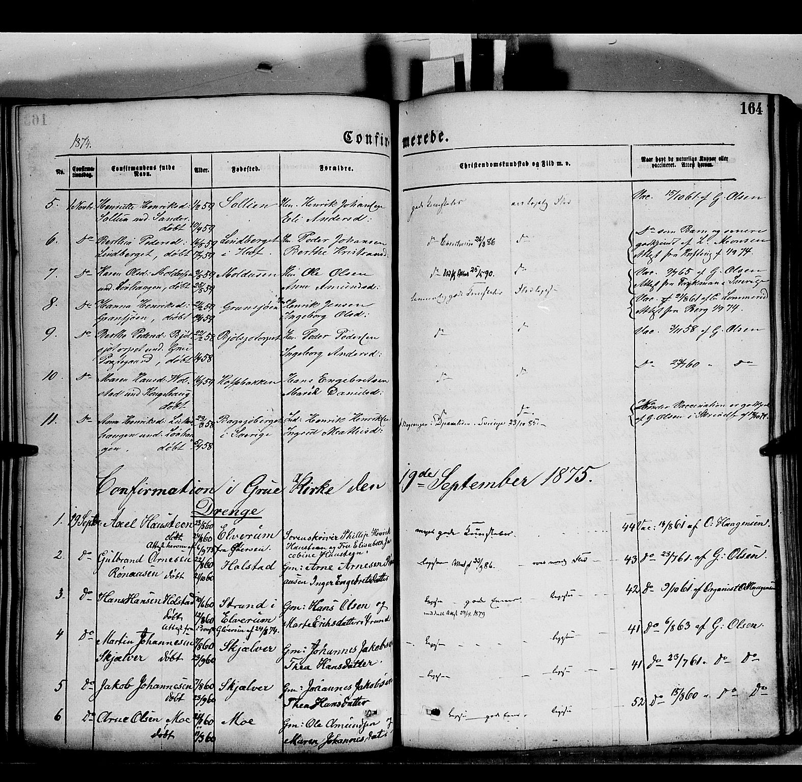 Grue prestekontor, SAH/PREST-036/H/Ha/Haa/L0011: Parish register (official) no. 11, 1873-1880, p. 164