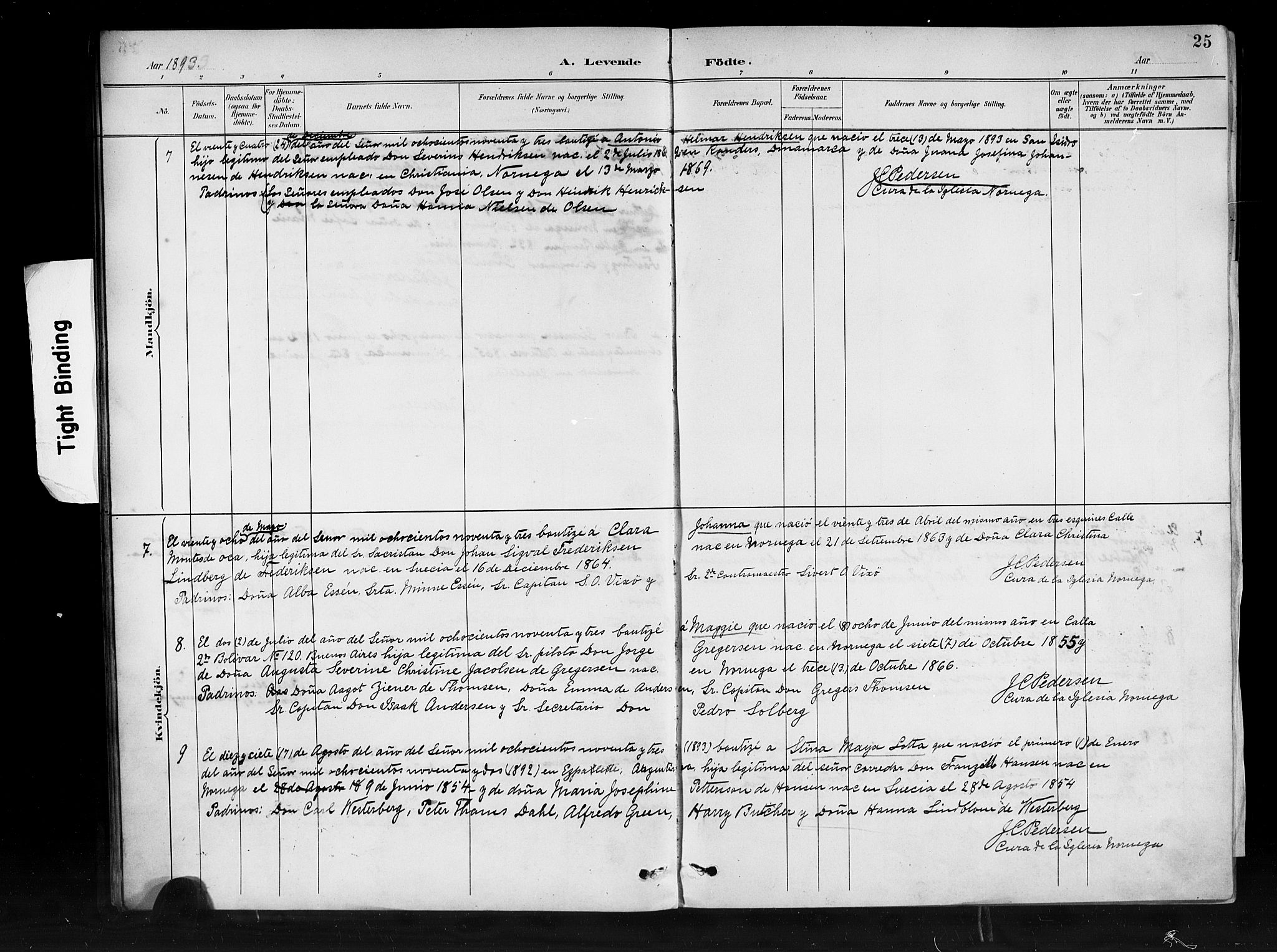 Den norske sjømannsmisjon i utlandet/Syd-Amerika (Buenos Aires m.fl.), AV/SAB-SAB/PA-0118/H/Ha/L0001: Parish register (official) no. A 1, 1888-1898, p. 25