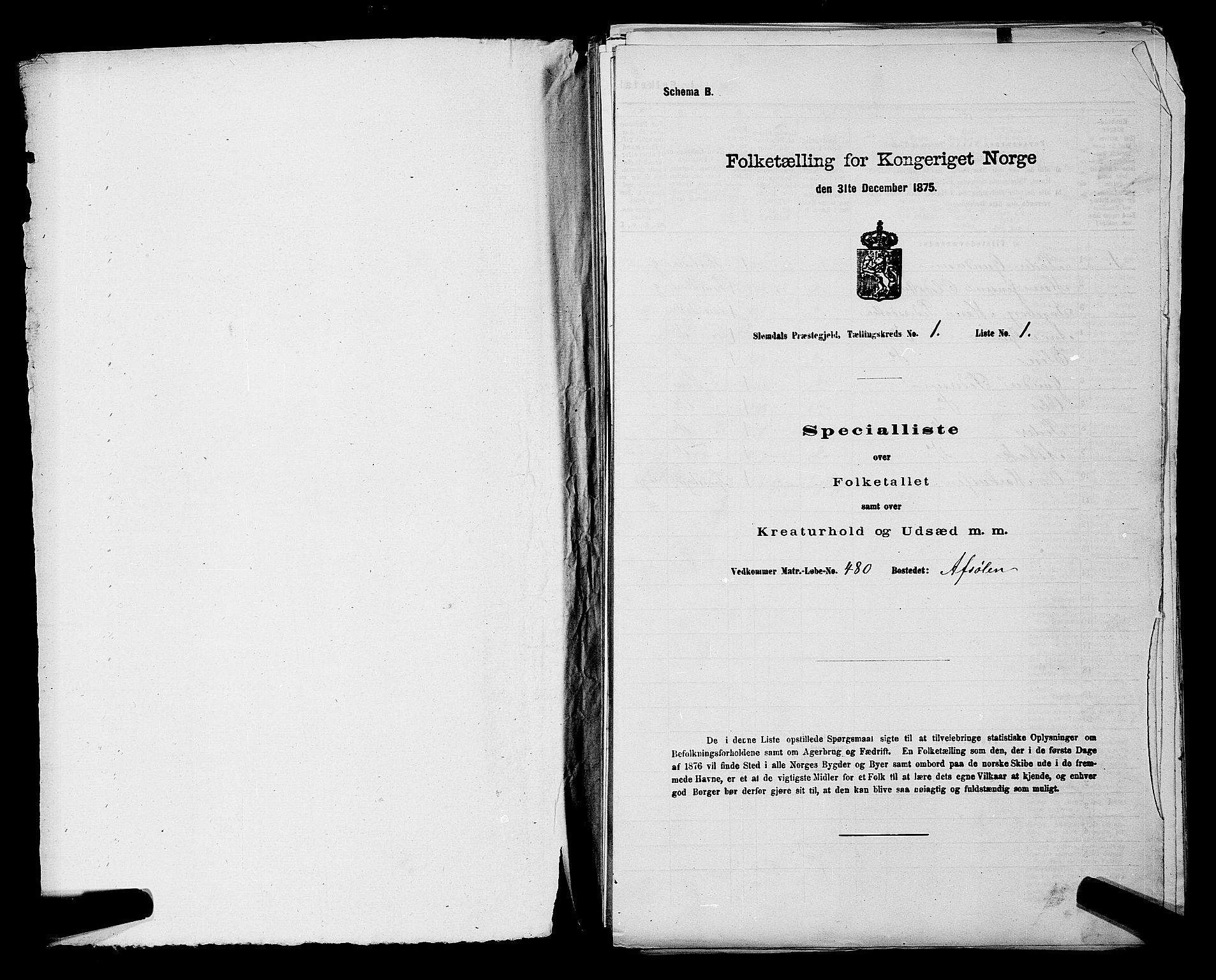 SAKO, 1875 census for 0811P Slemdal, 1875, p. 18