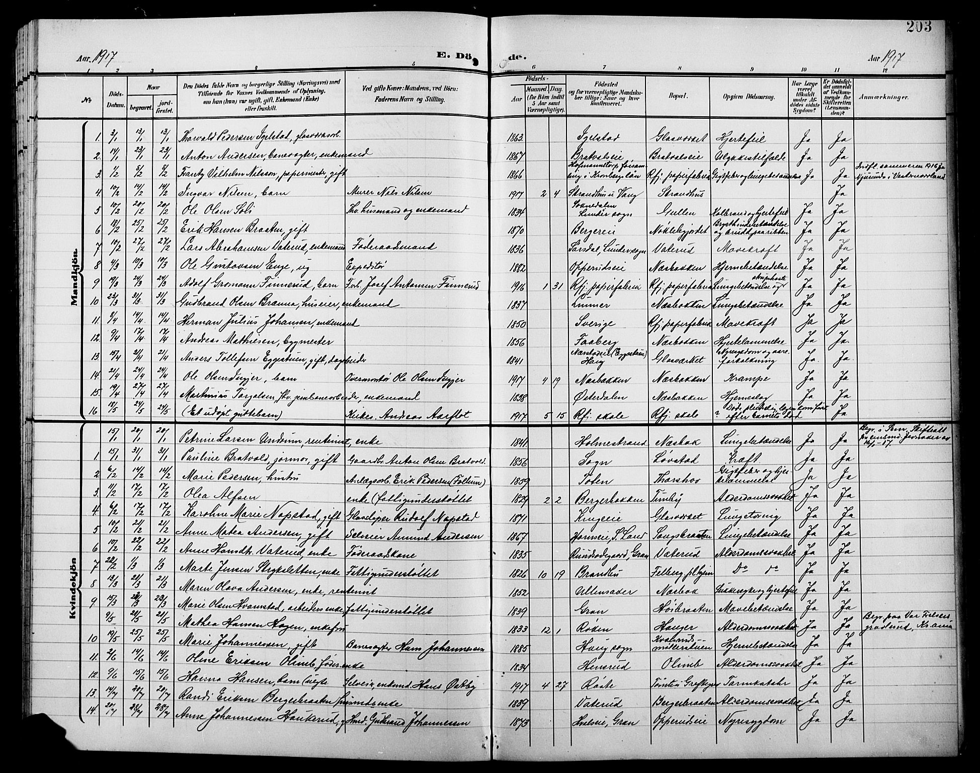 Jevnaker prestekontor, SAH/PREST-116/H/Ha/Hab/L0004: Parish register (copy) no. 4, 1907-1918, p. 203