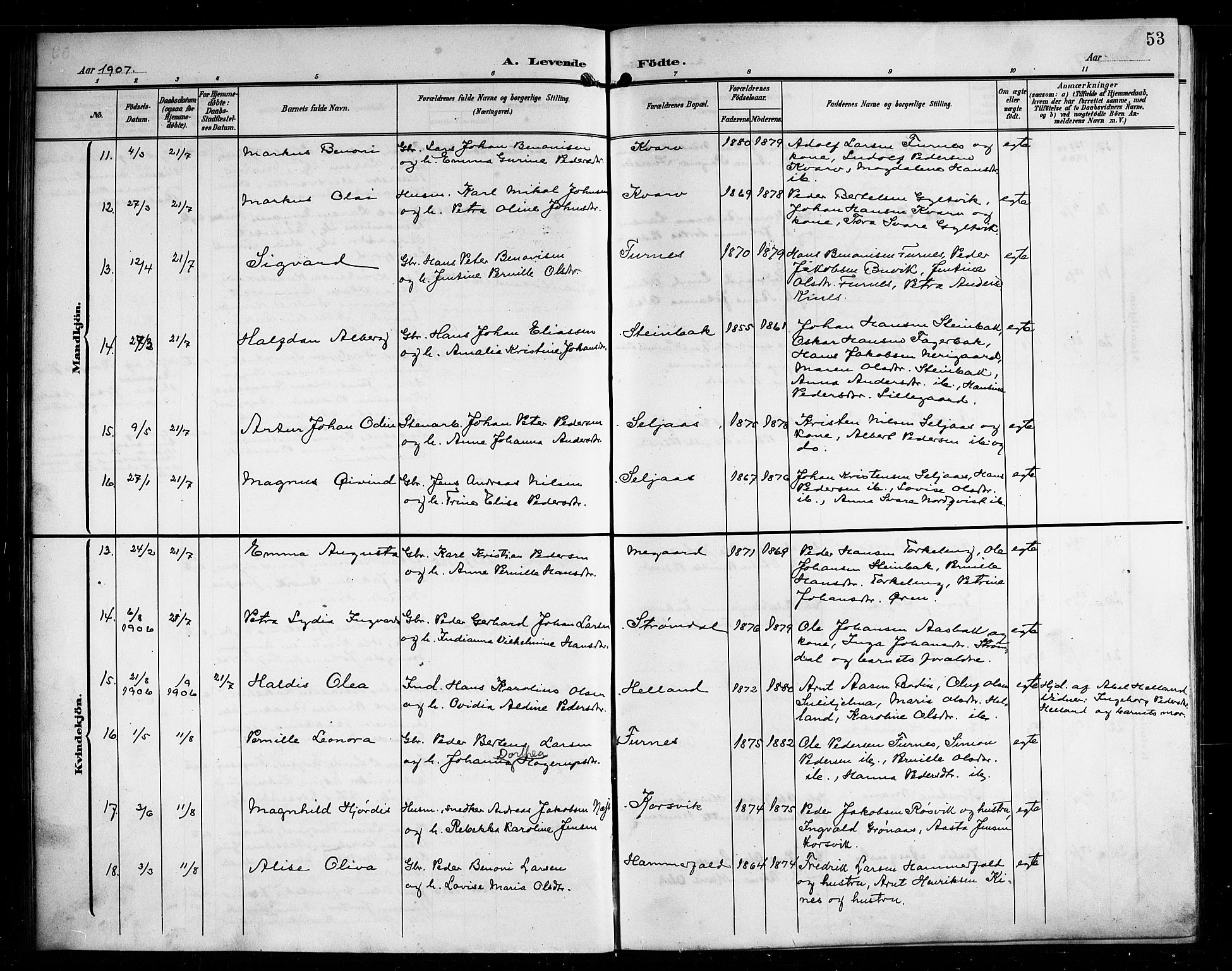 Ministerialprotokoller, klokkerbøker og fødselsregistre - Nordland, AV/SAT-A-1459/854/L0786: Parish register (copy) no. 854C02, 1901-1912, p. 53