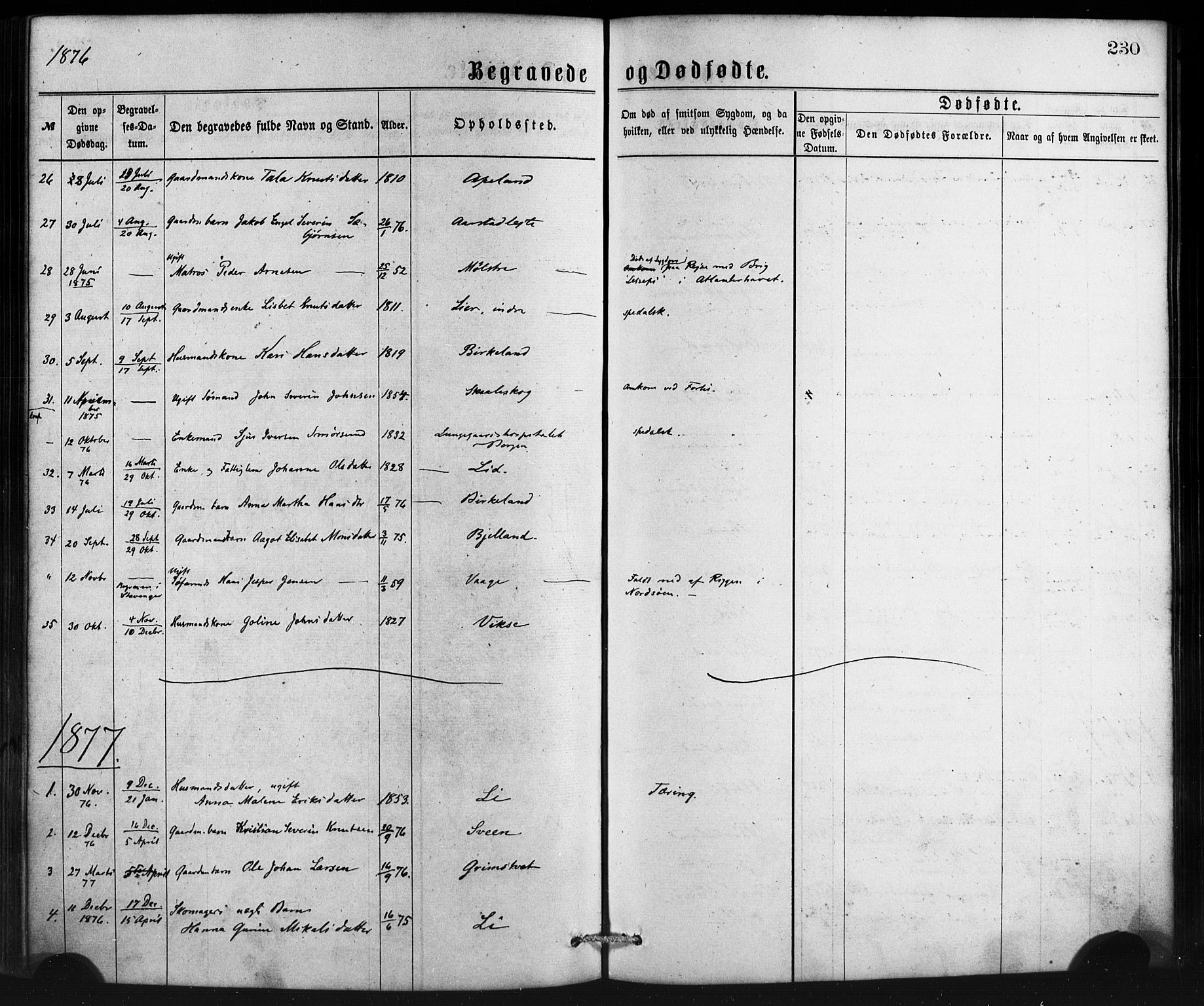 Sveio Sokneprestembete, AV/SAB-A-78501/H/Haa: Parish register (official) no. B 1, 1870-1883, p. 230