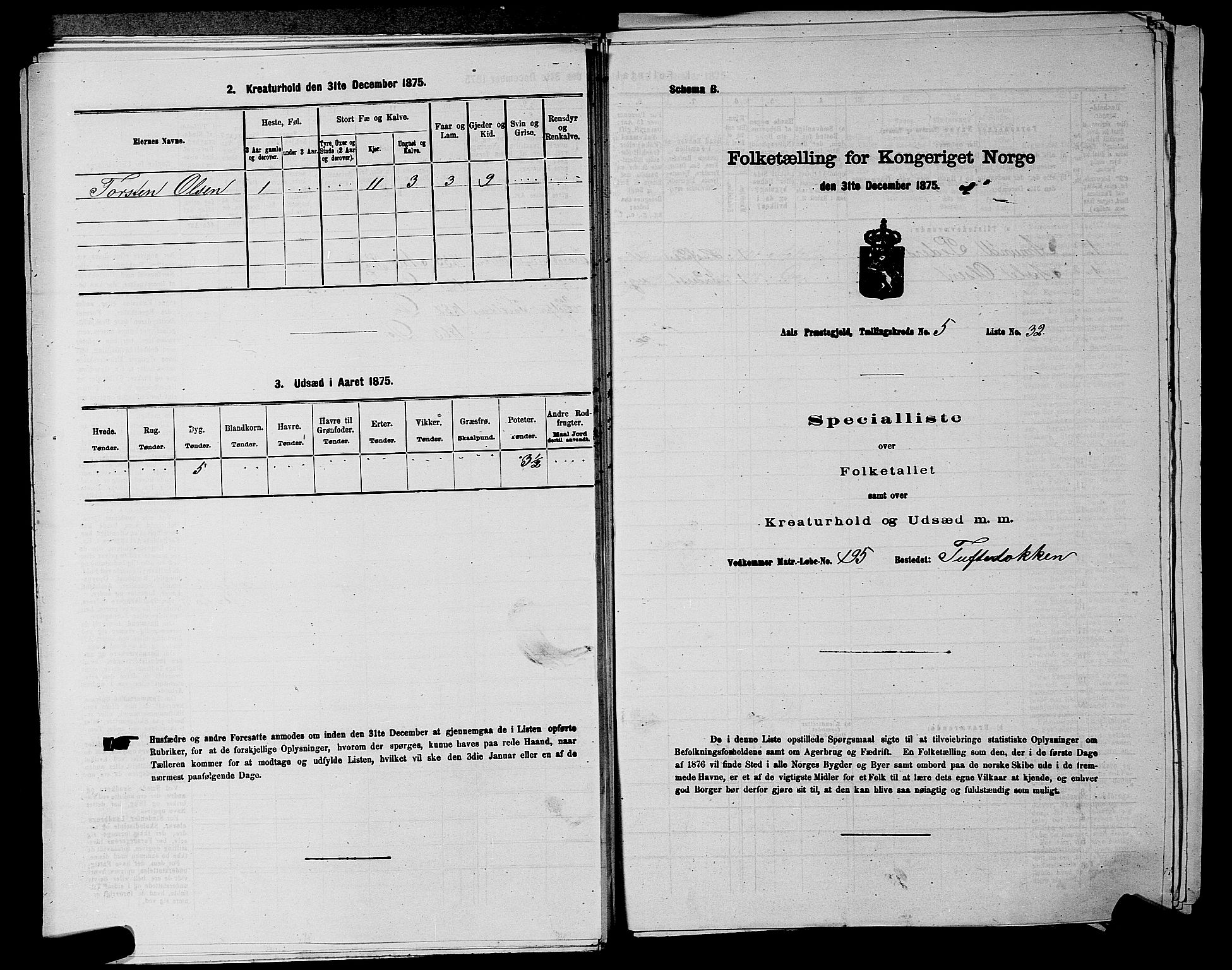 SAKO, 1875 census for 0619P Ål, 1875, p. 681