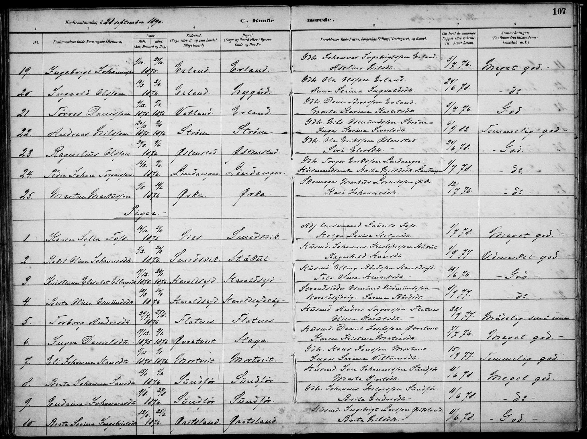 Skjold sokneprestkontor, AV/SAST-A-101847/H/Ha/Haa/L0010: Parish register (official) no. A 10, 1882-1897, p. 107