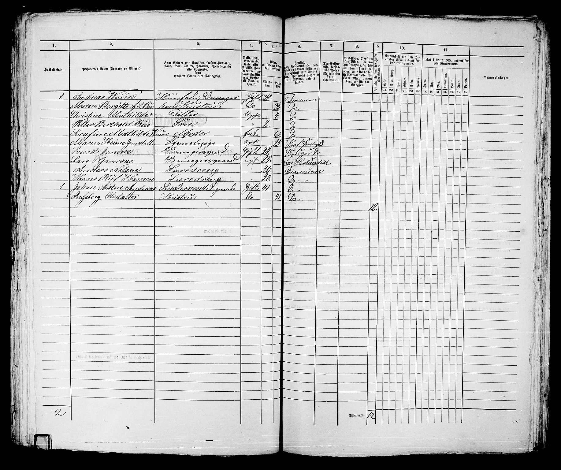 RA, 1865 census for Strømsø in Drammen, 1865, p. 260