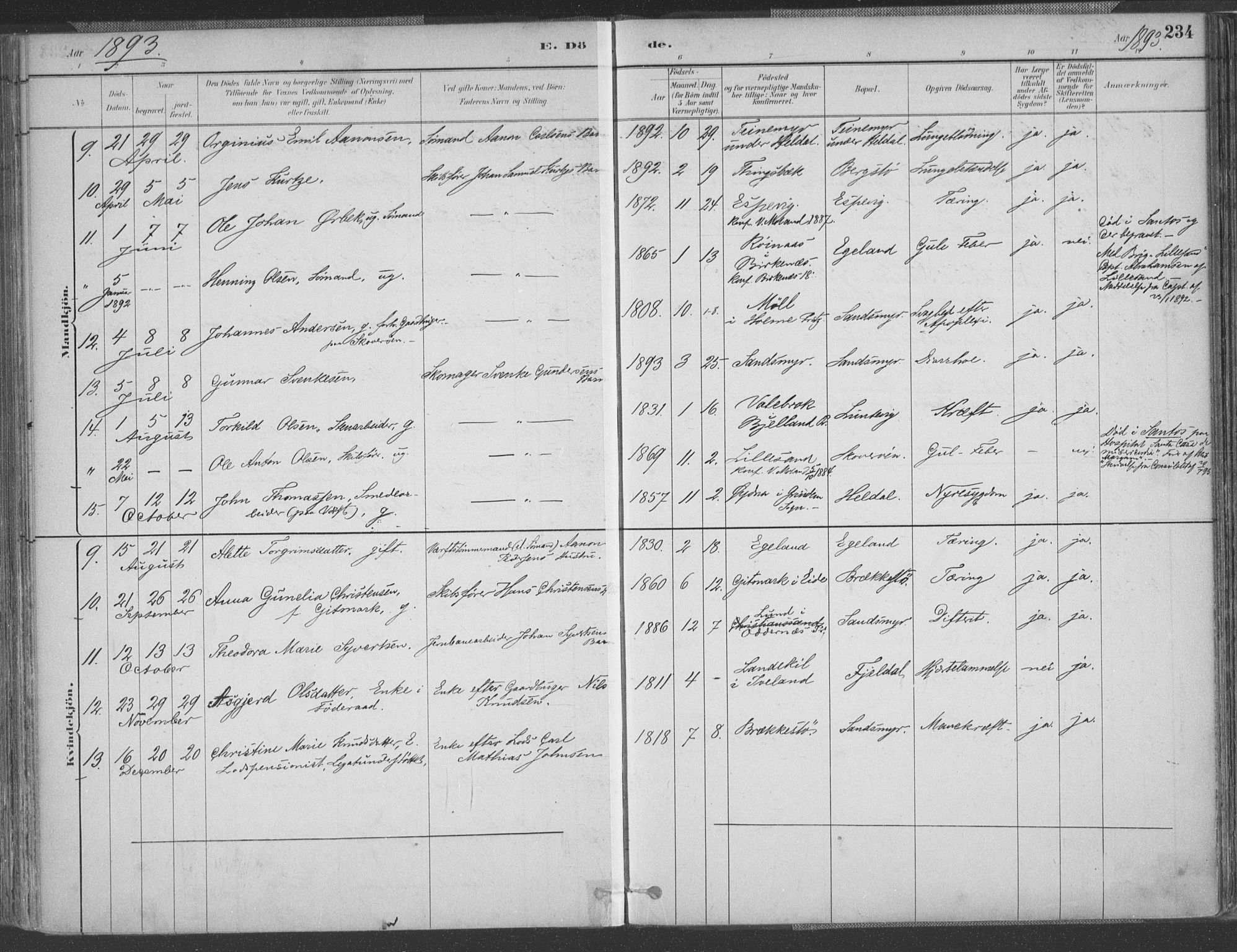 Vestre Moland sokneprestkontor, AV/SAK-1111-0046/F/Fa/Fab/L0009: Parish register (official) no. A 9, 1884-1899, p. 234