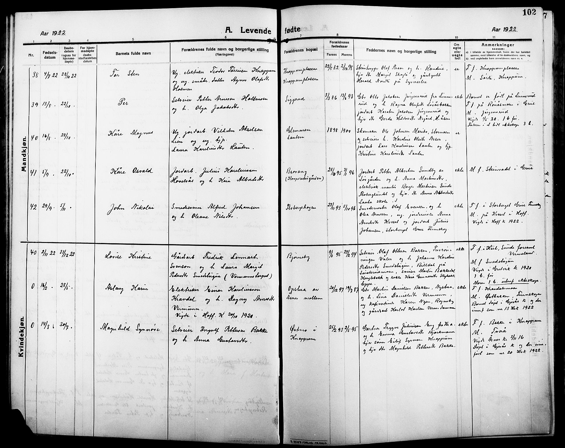 Åsnes prestekontor, AV/SAH-PREST-042/H/Ha/Hab/L0007: Parish register (copy) no. 7, 1909-1926, p. 102