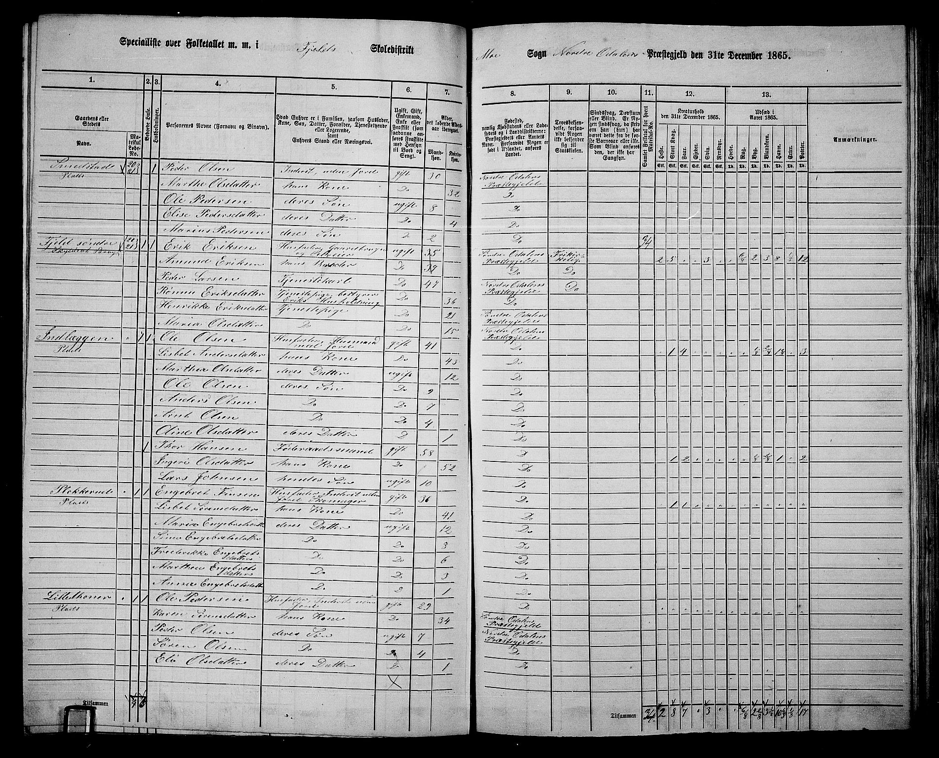 RA, 1865 census for Nord-Odal, 1865, p. 103