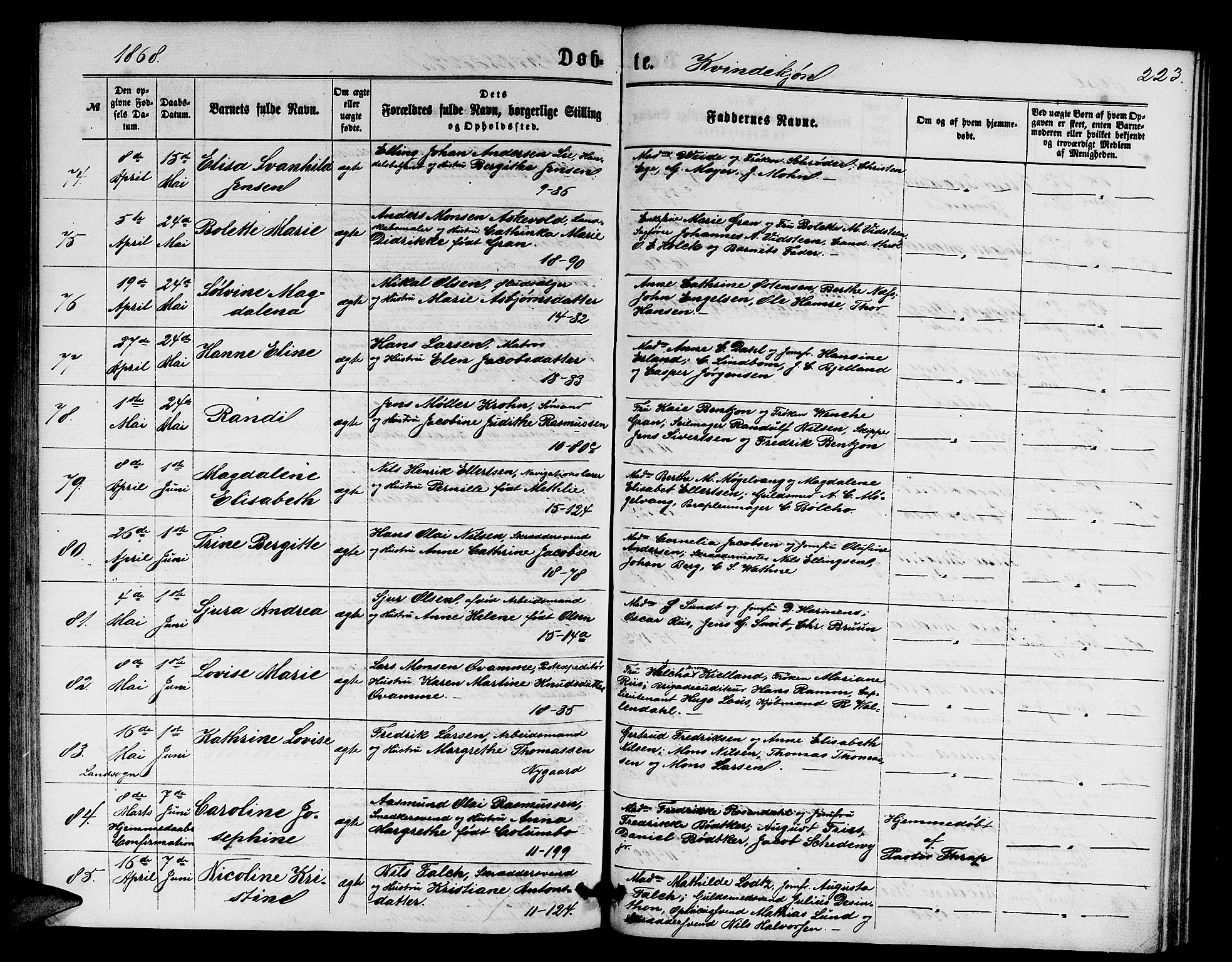 Domkirken sokneprestembete, AV/SAB-A-74801/H/Hab/L0012: Parish register (copy) no. B 5, 1862-1869, p. 223