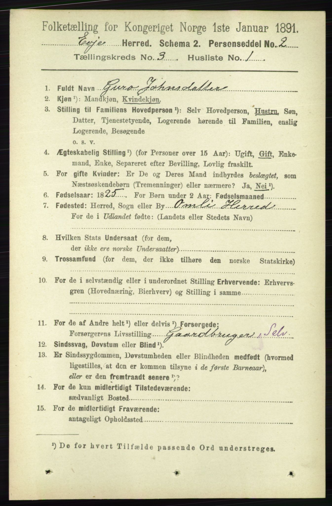 RA, 1891 census for 0937 Evje, 1891, p. 657