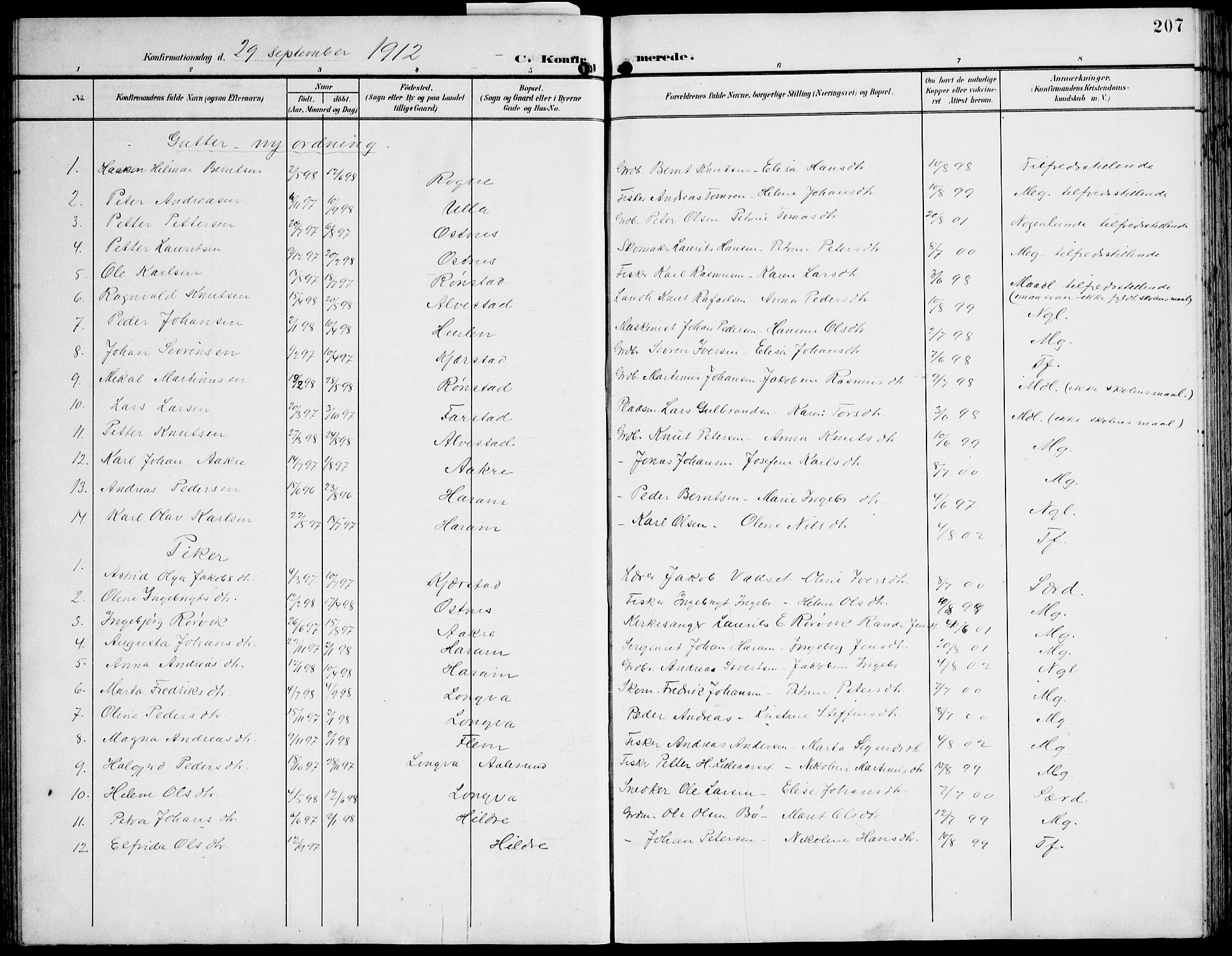 Ministerialprotokoller, klokkerbøker og fødselsregistre - Møre og Romsdal, AV/SAT-A-1454/536/L0511: Parish register (copy) no. 536C06, 1899-1944, p. 207